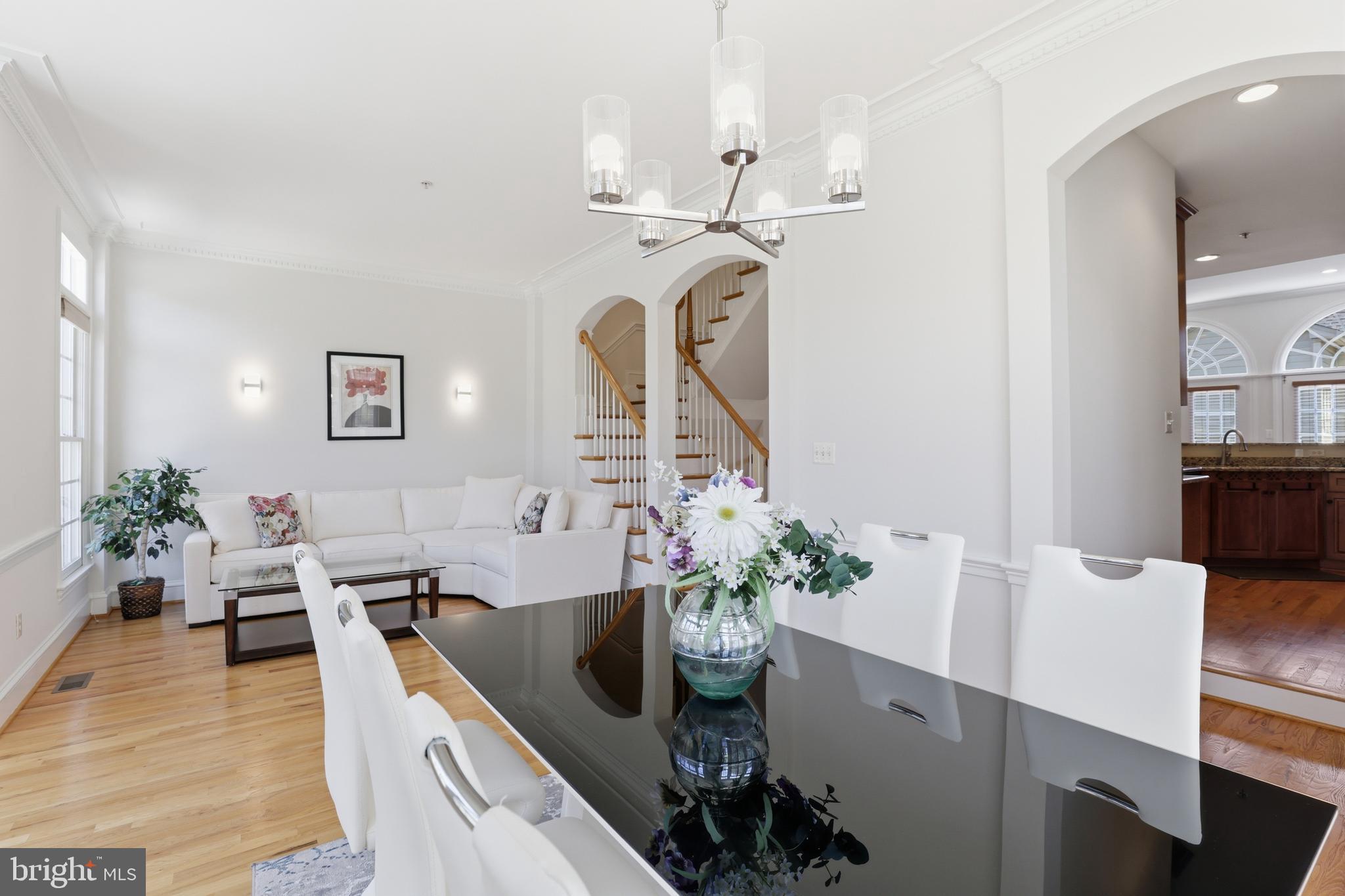 POTOMAC FALLS - Residential