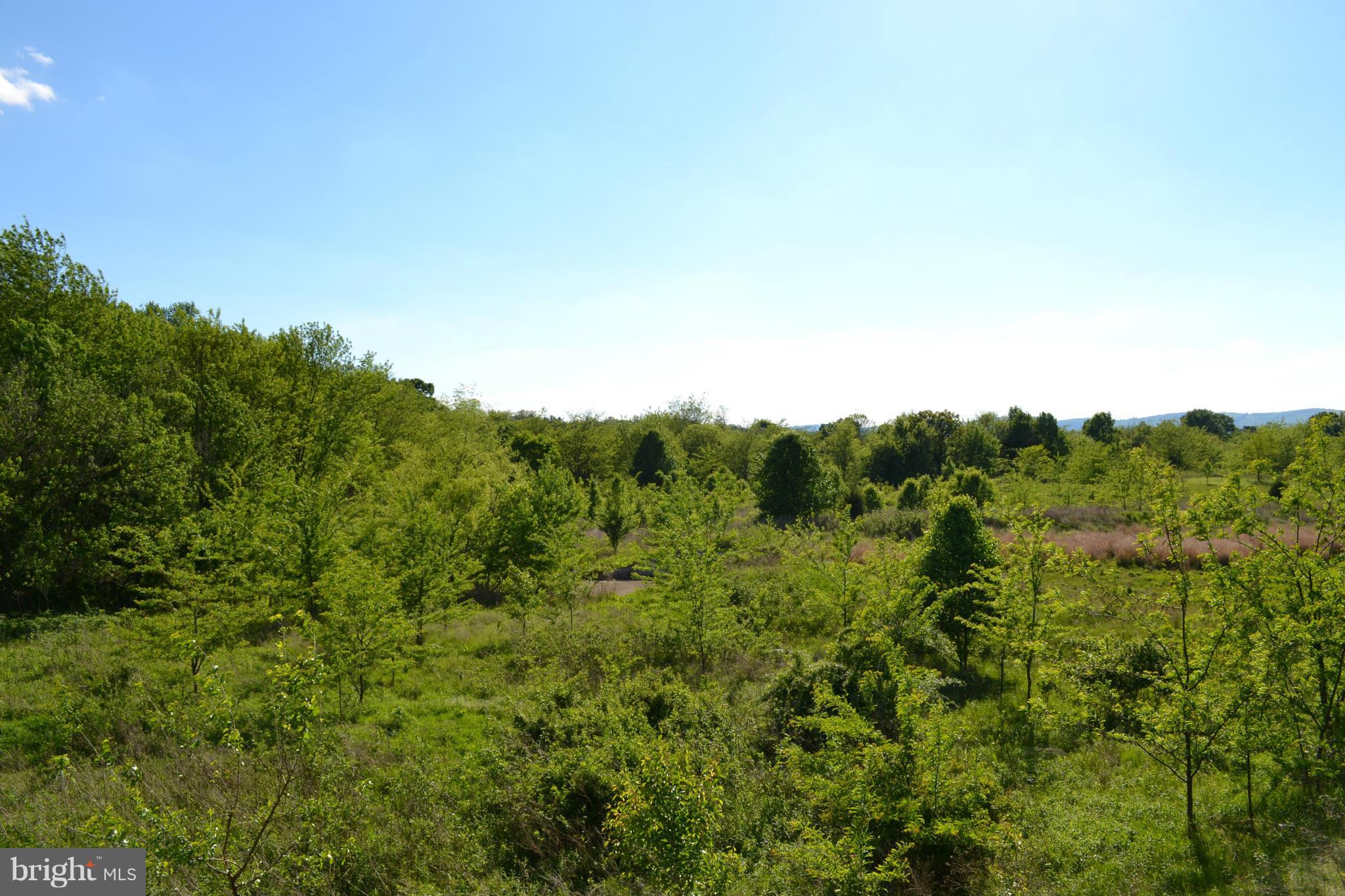 MONOCACY LANDING - Residential