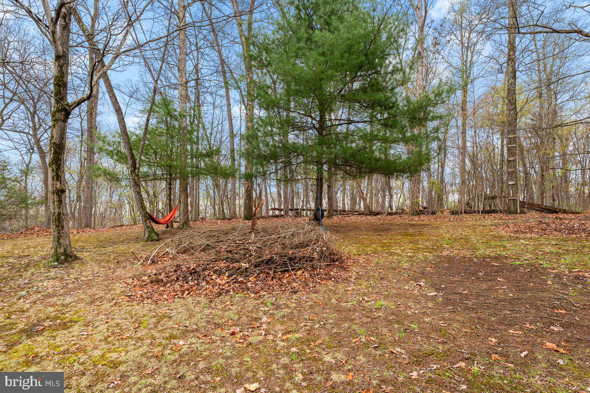 ALBEMARLE - Residential