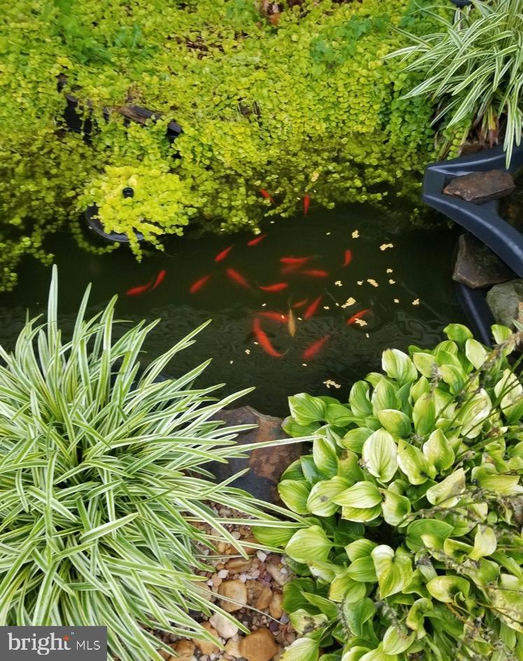 MARLBORO MEADOWS - Residential