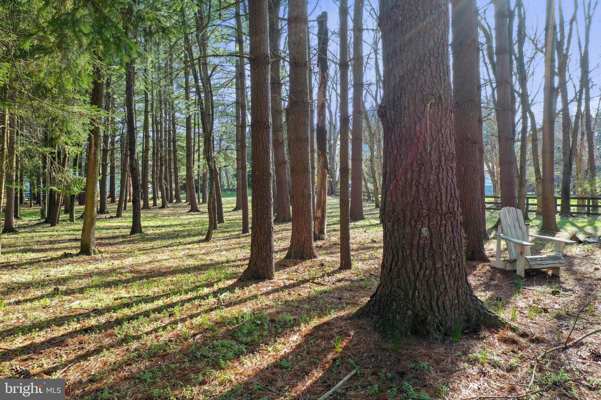 SHILOH - Residential