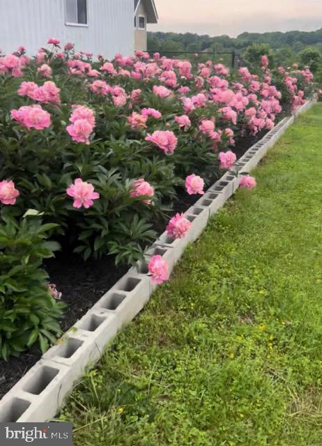 DARNESTOWN KNOLLS - Residential