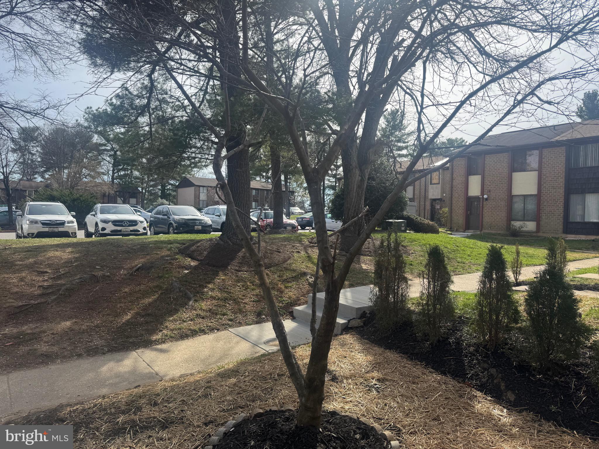 OWEN BROWN WOODS - Residential Lease