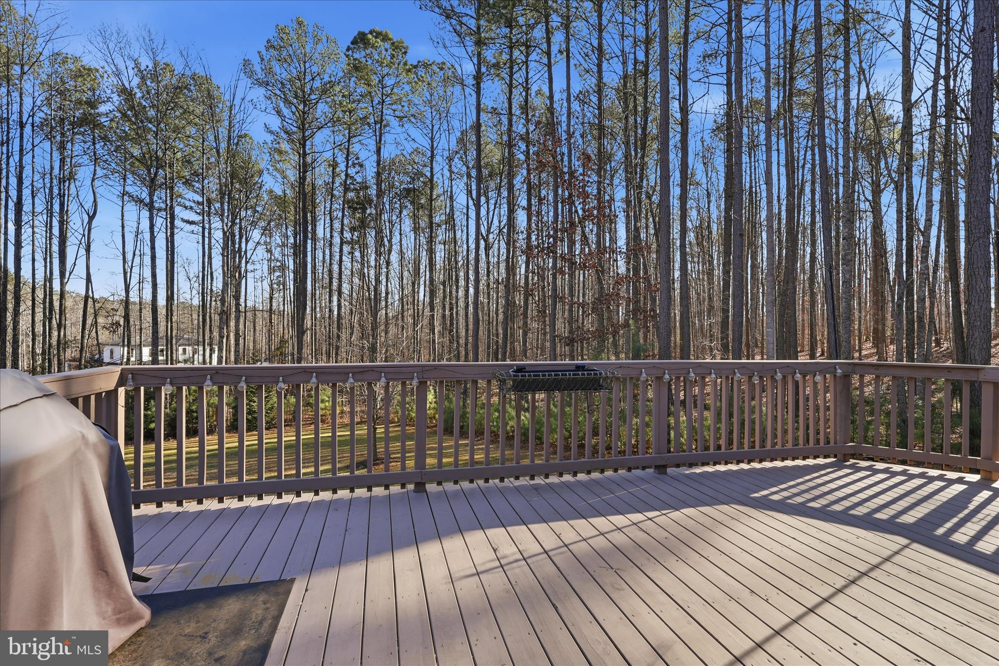 THE WATERS AT LAKE ANNA - Residential