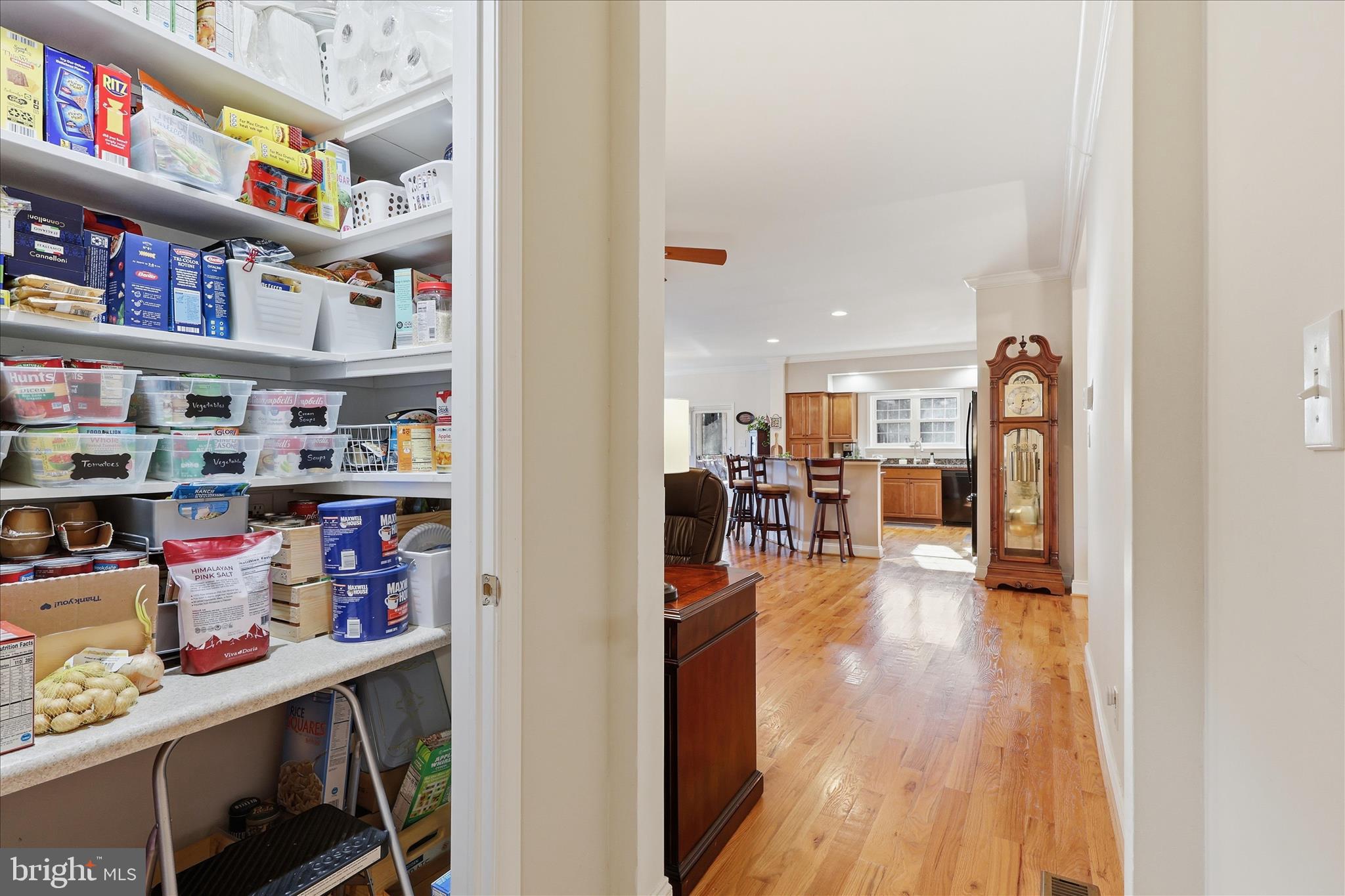 THE WATERS AT LAKE ANNA - Residential