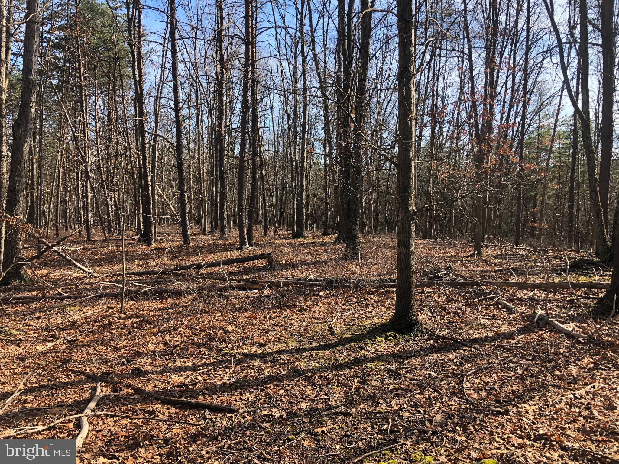 BLUFFS ON THE POTOMAC - Land