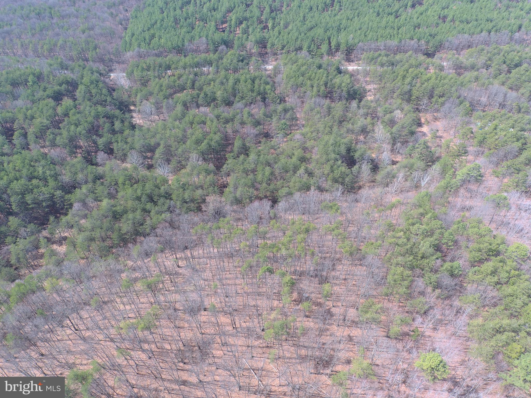BLUFFS ON THE POTOMAC - Land