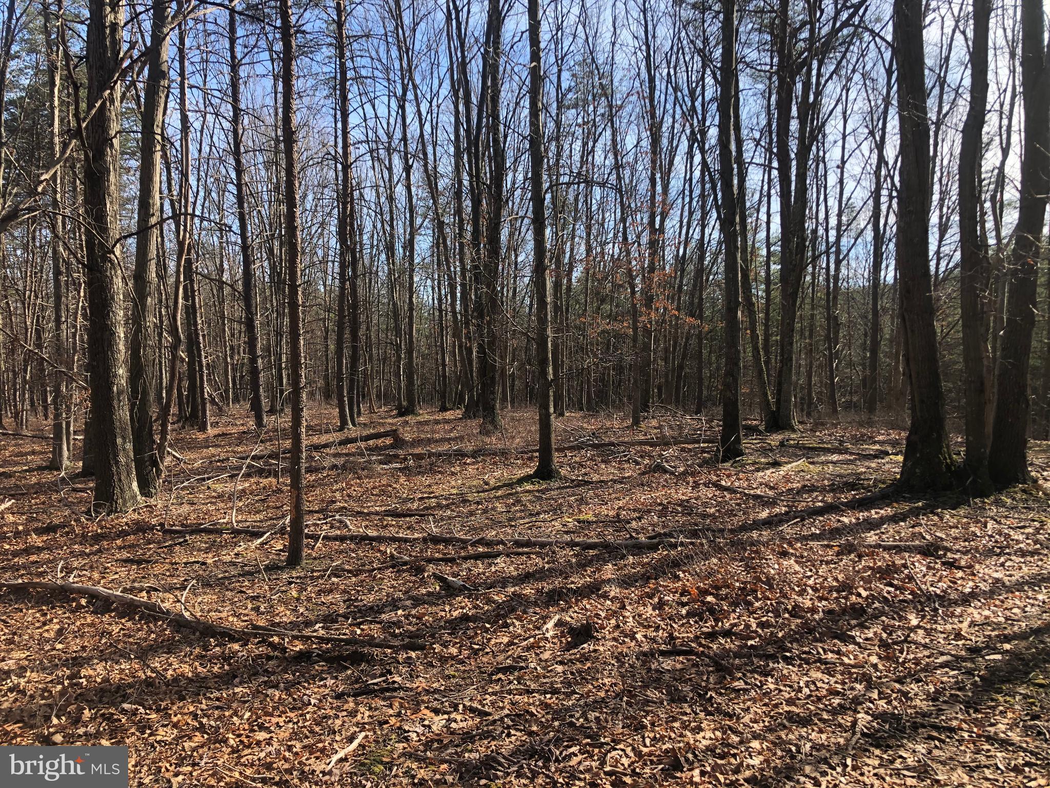 BLUFFS ON THE POTOMAC - Land