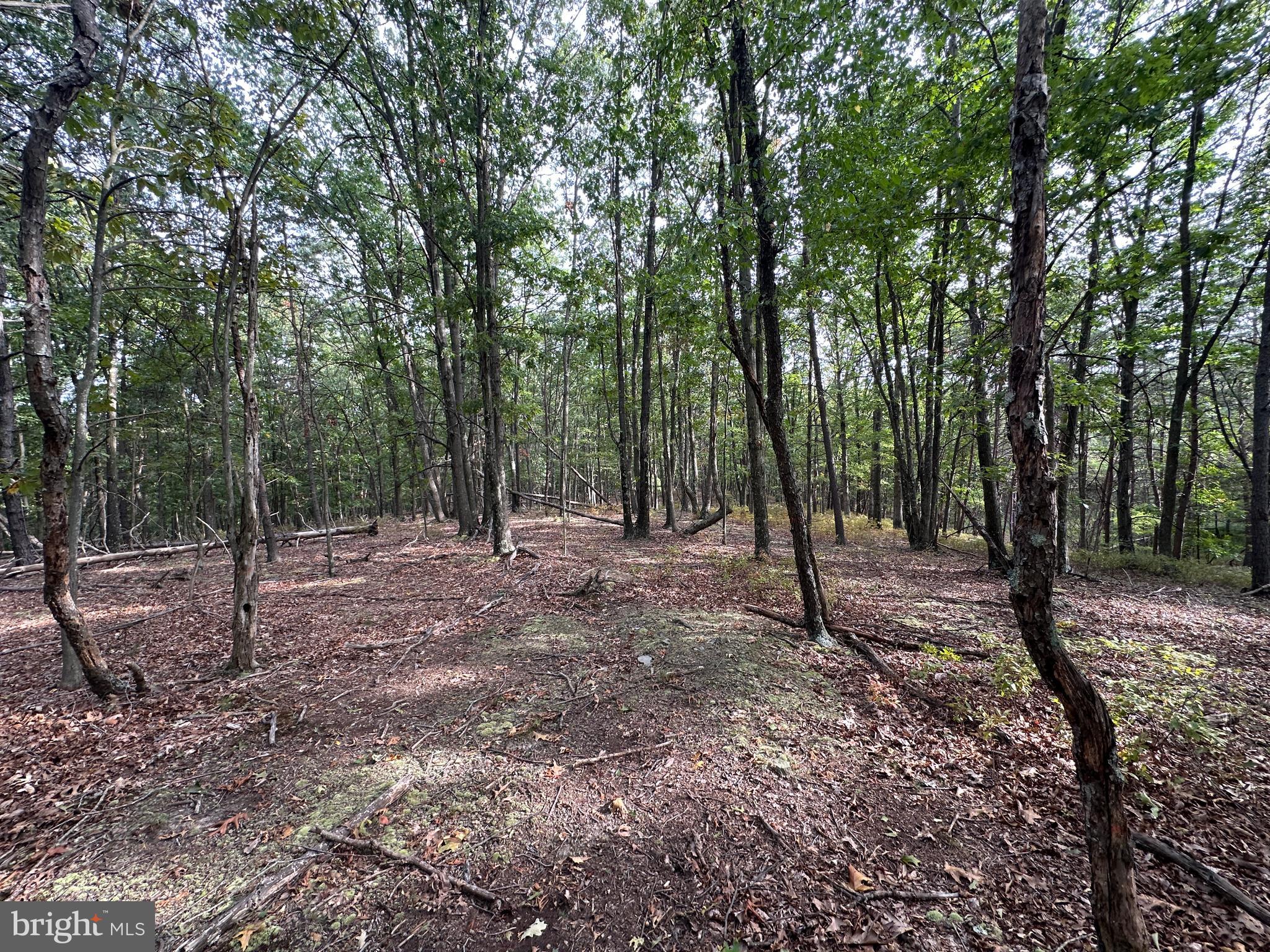 BLUFFS ON THE POTOMAC - Land