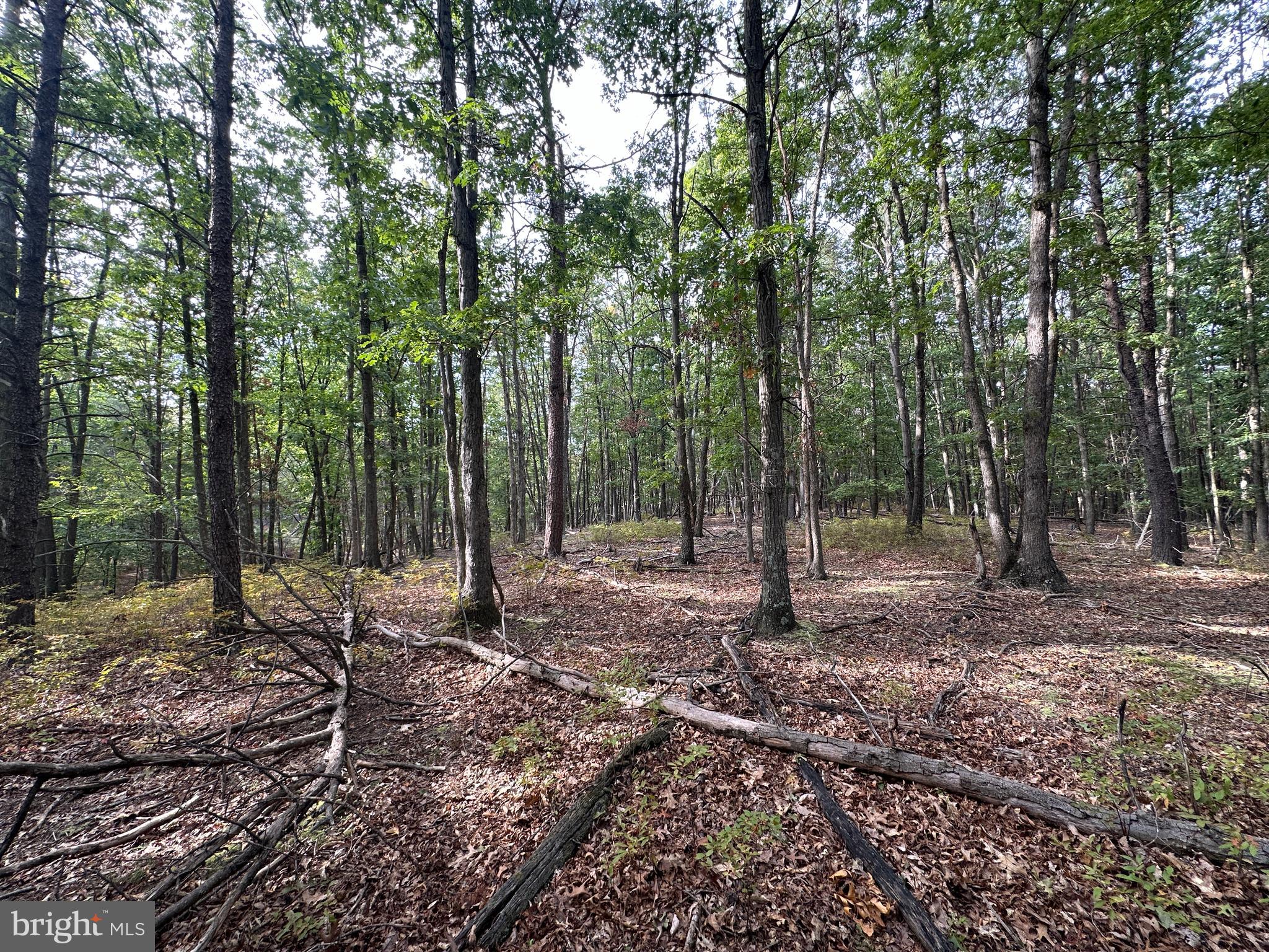 BLUFFS ON THE POTOMAC - Land