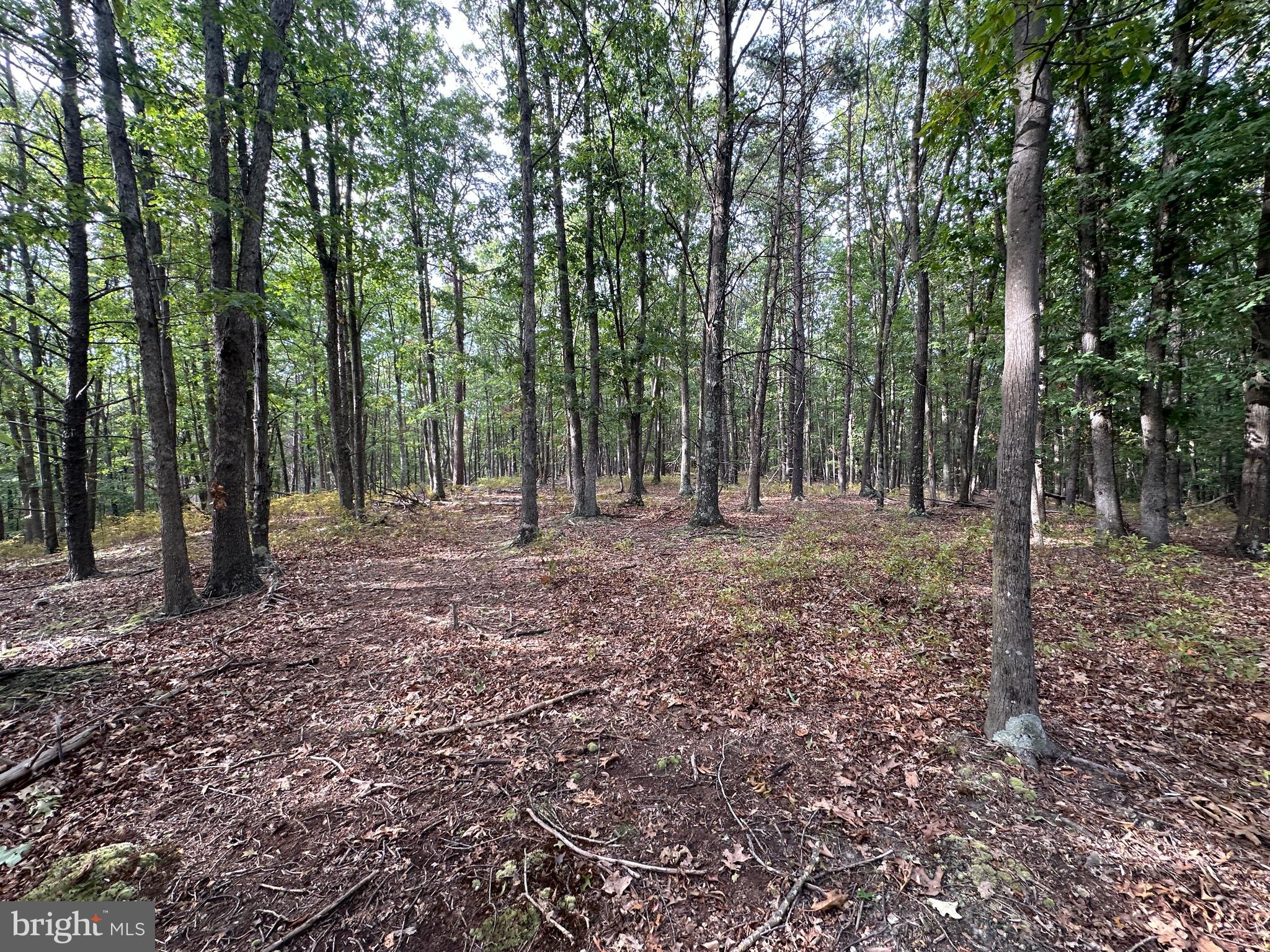 BLUFFS ON THE POTOMAC - Land