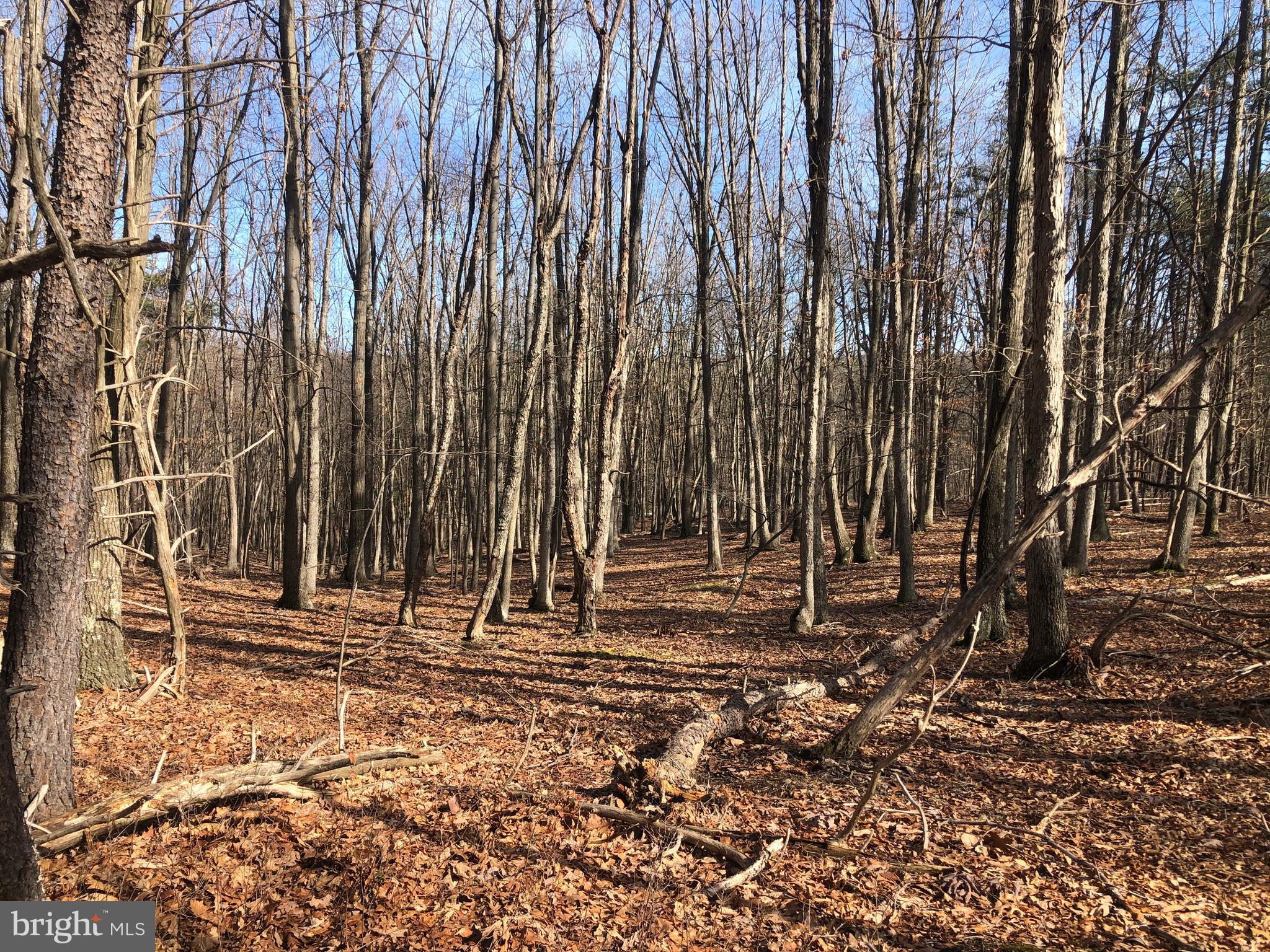 BLUFFS ON THE POTOMAC - Land