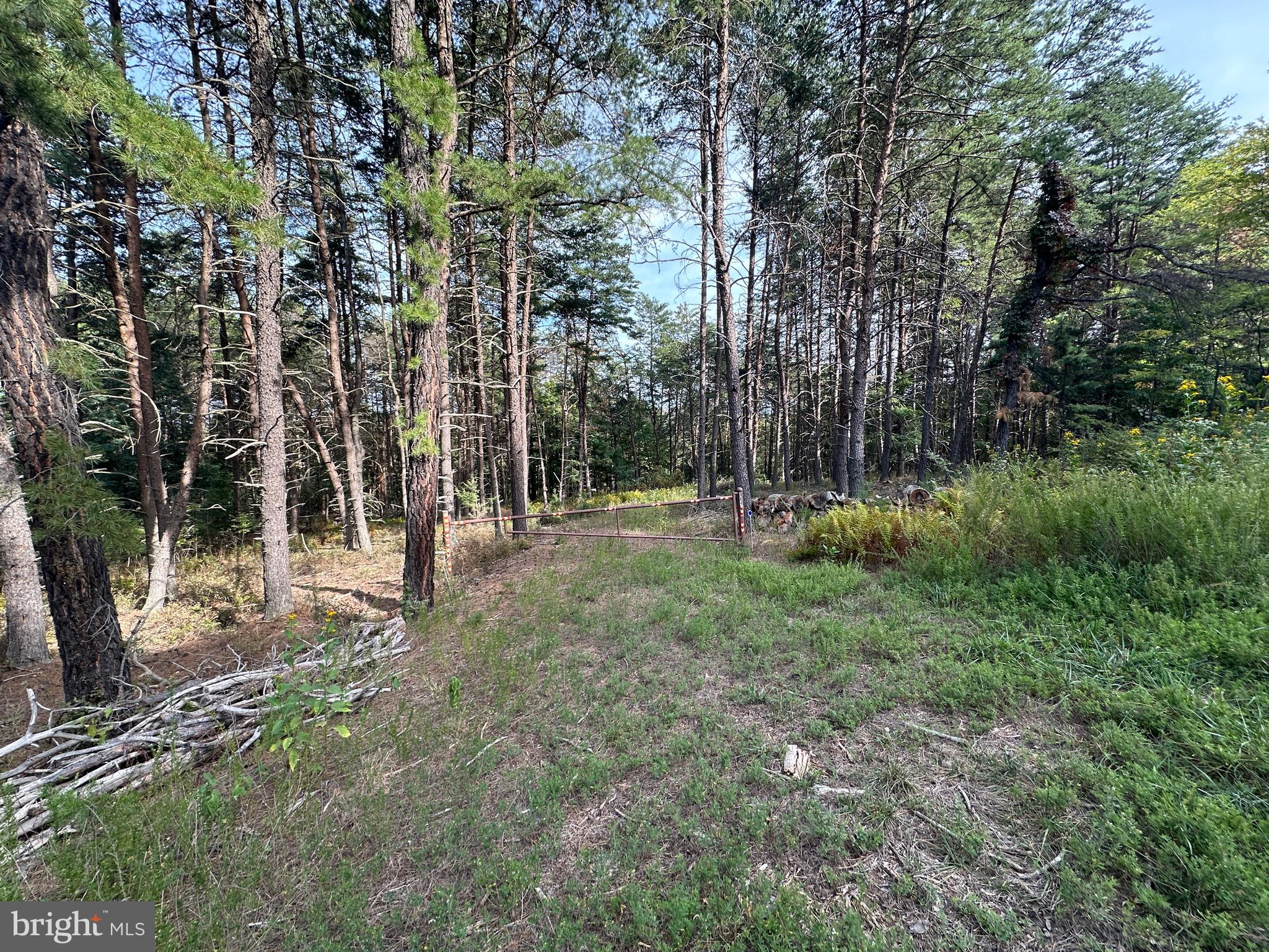 BLUFFS ON THE POTOMAC - Land