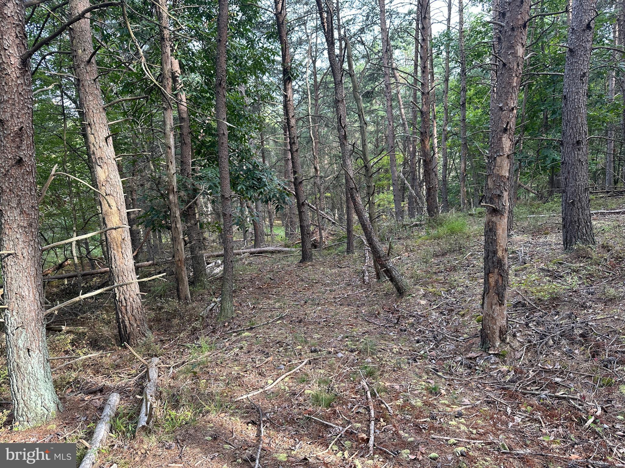 BLUFFS ON THE POTOMAC - Land