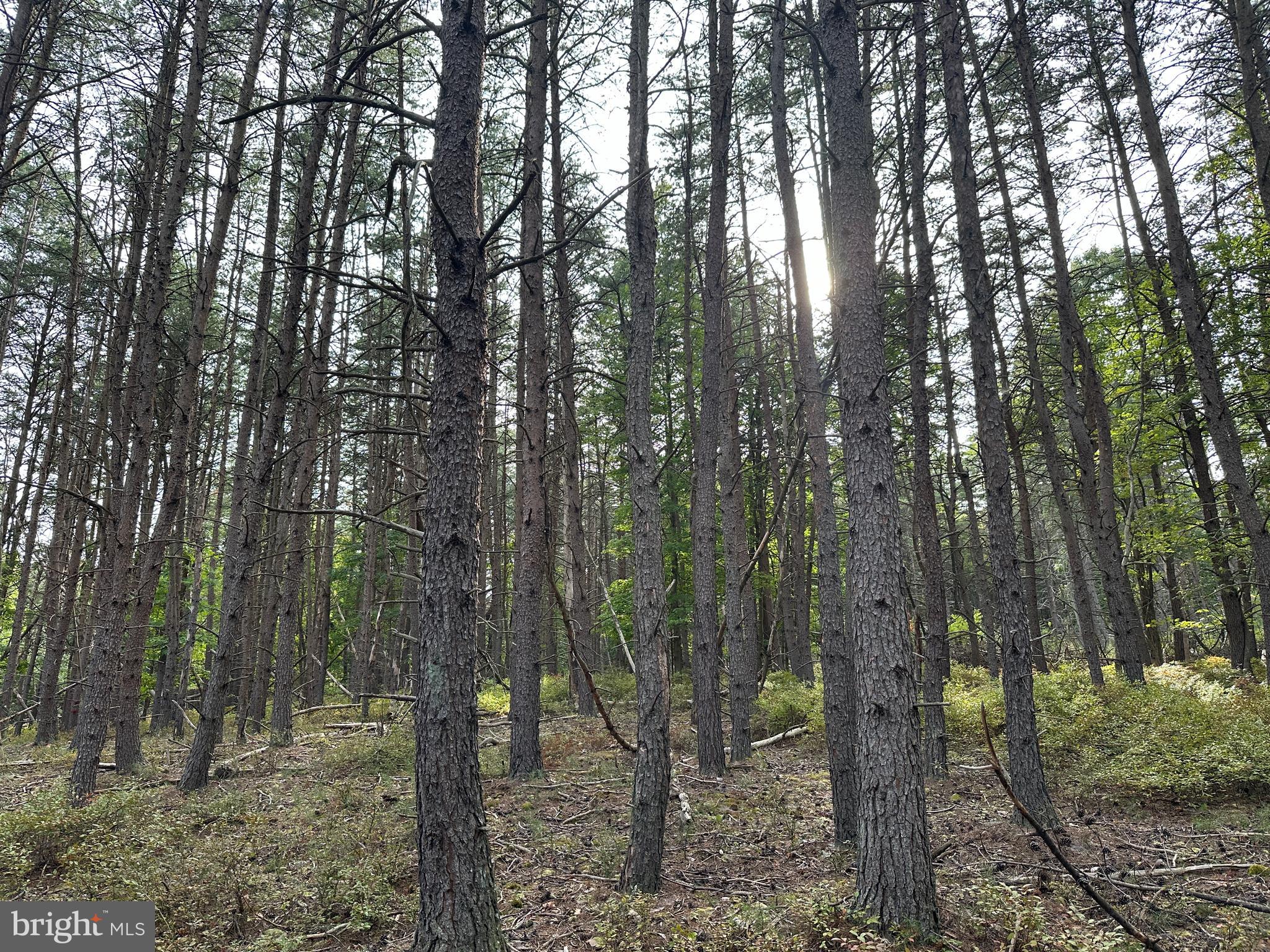 BLUFFS ON THE POTOMAC - Land