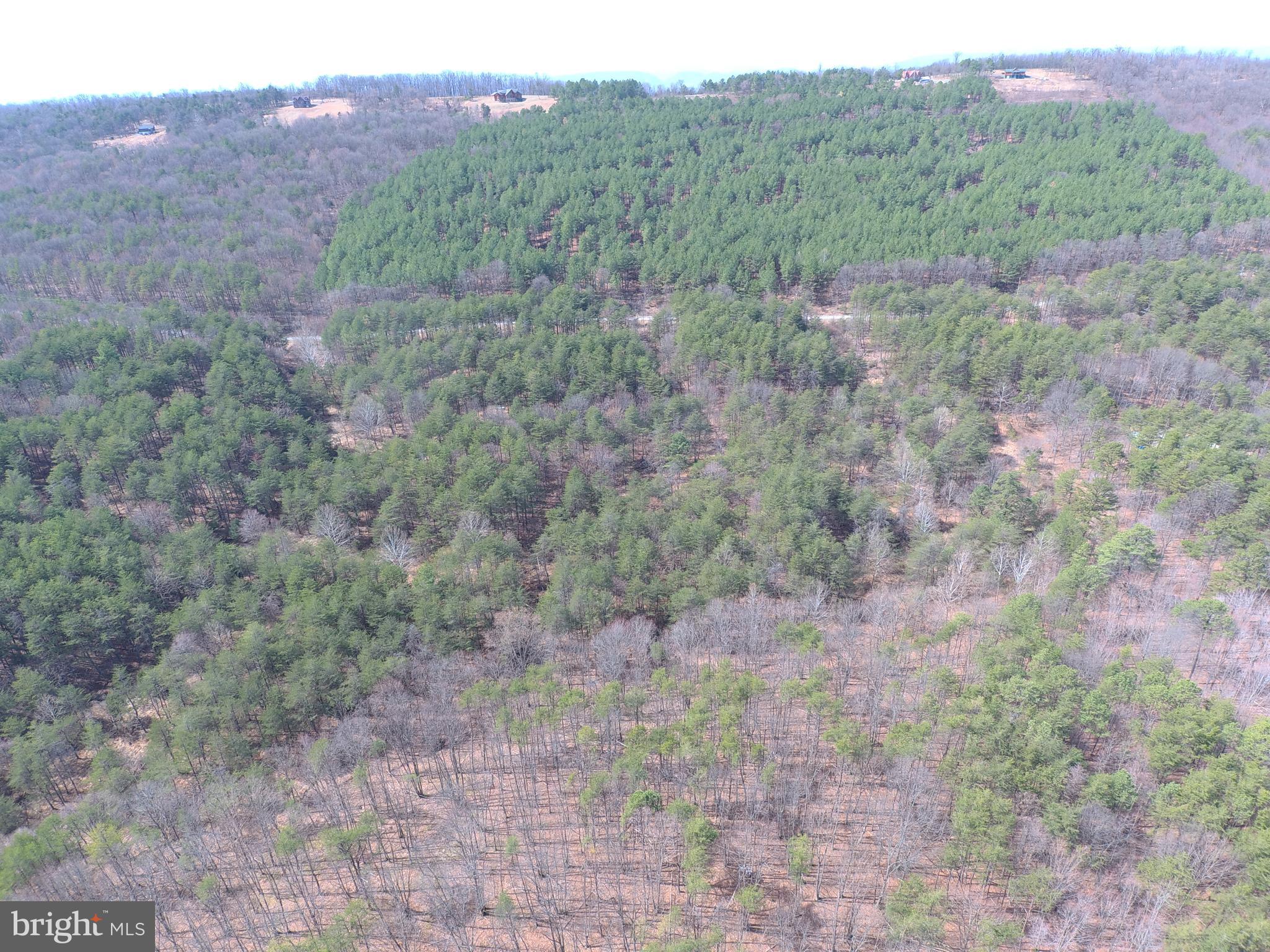 BLUFFS ON THE POTOMAC - Land