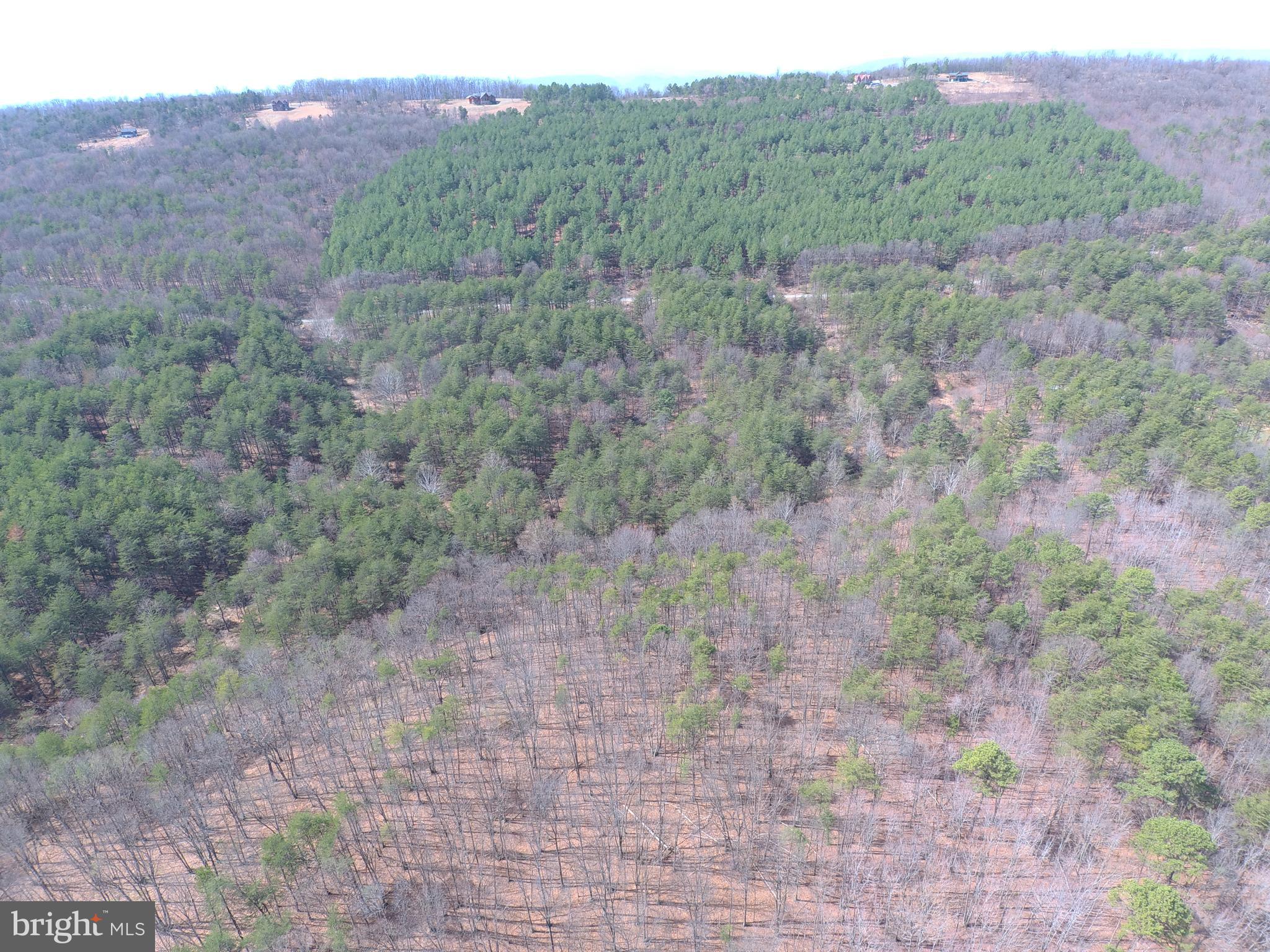 BLUFFS ON THE POTOMAC - Land