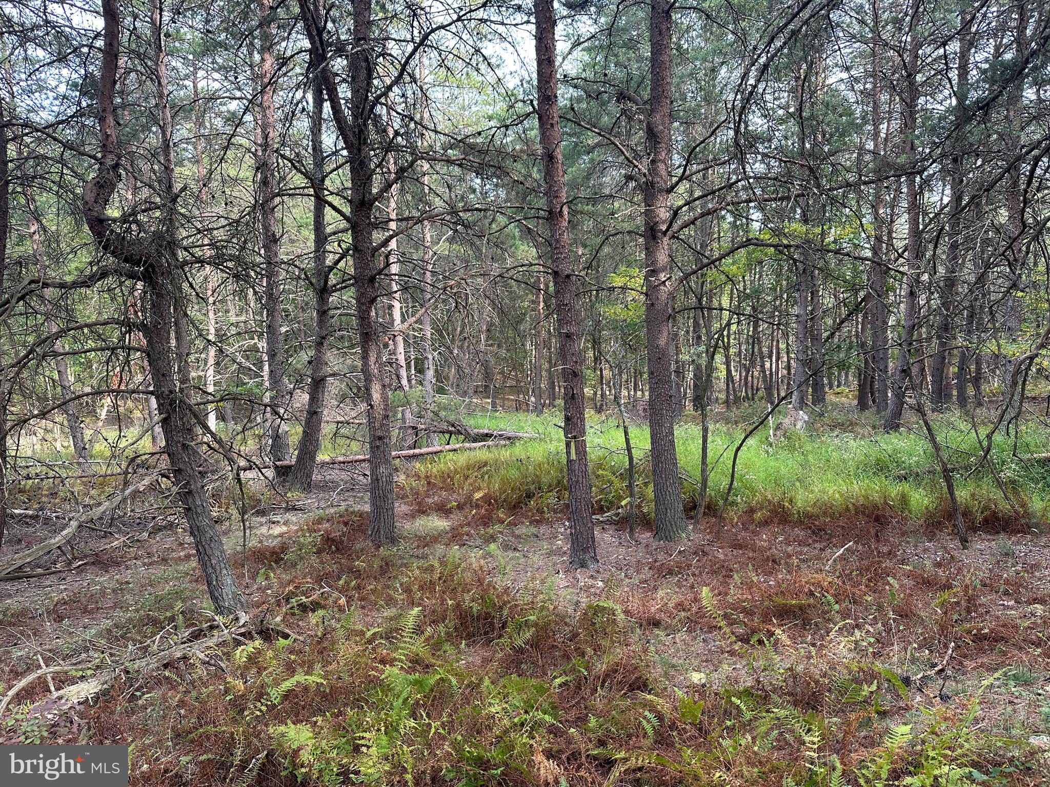 BLUFFS ON THE POTOMAC - Land