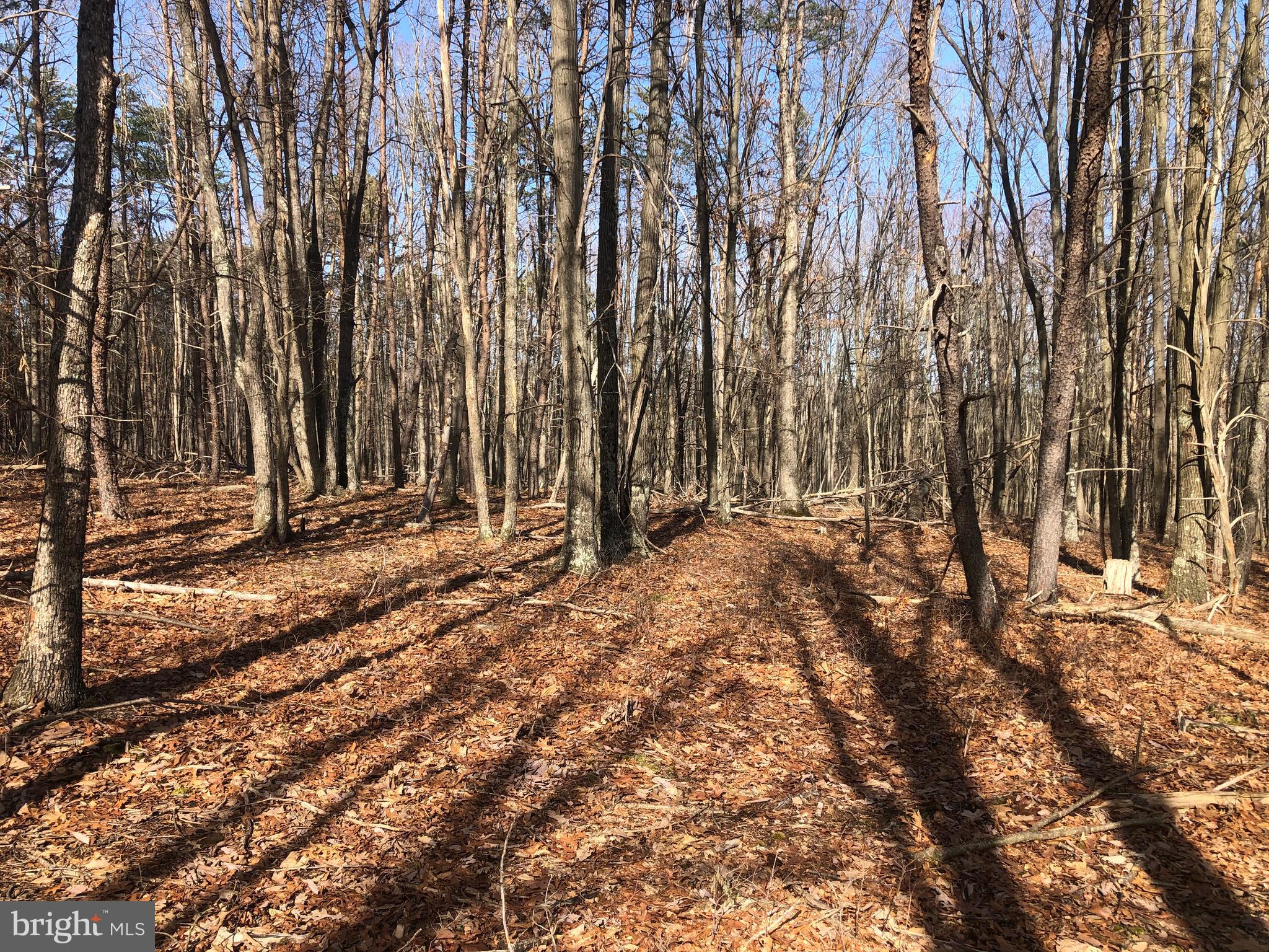 BLUFFS ON THE POTOMAC - Land