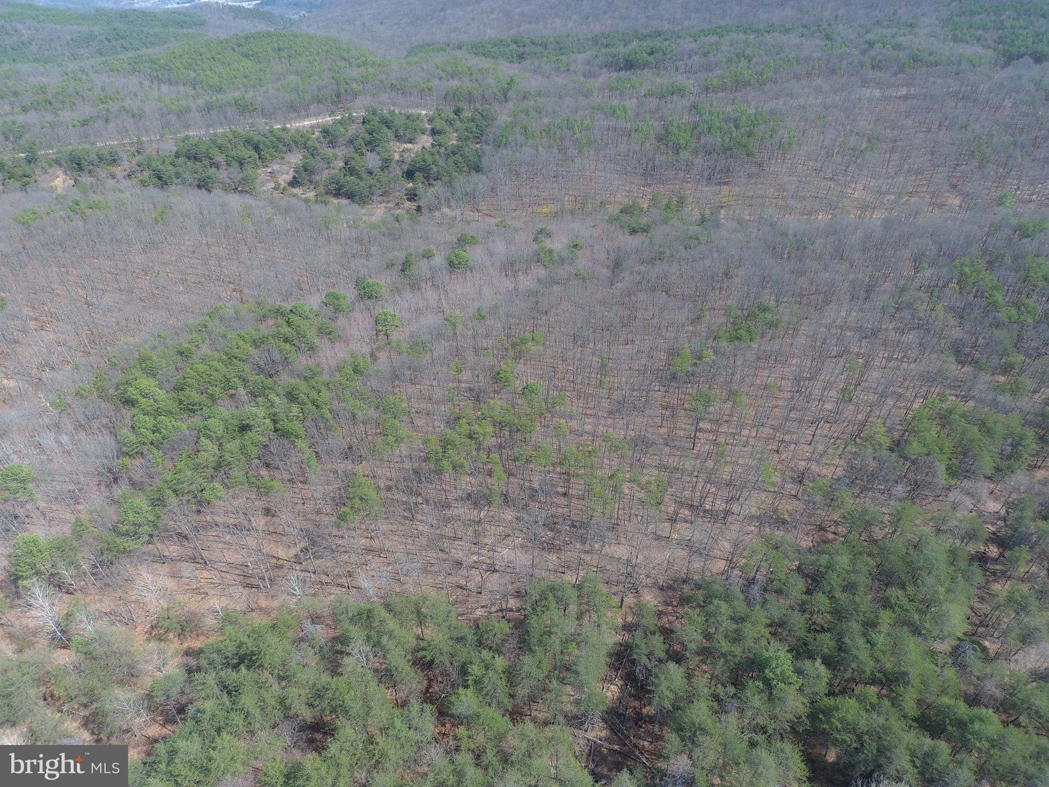 BLUFFS ON THE POTOMAC - Land