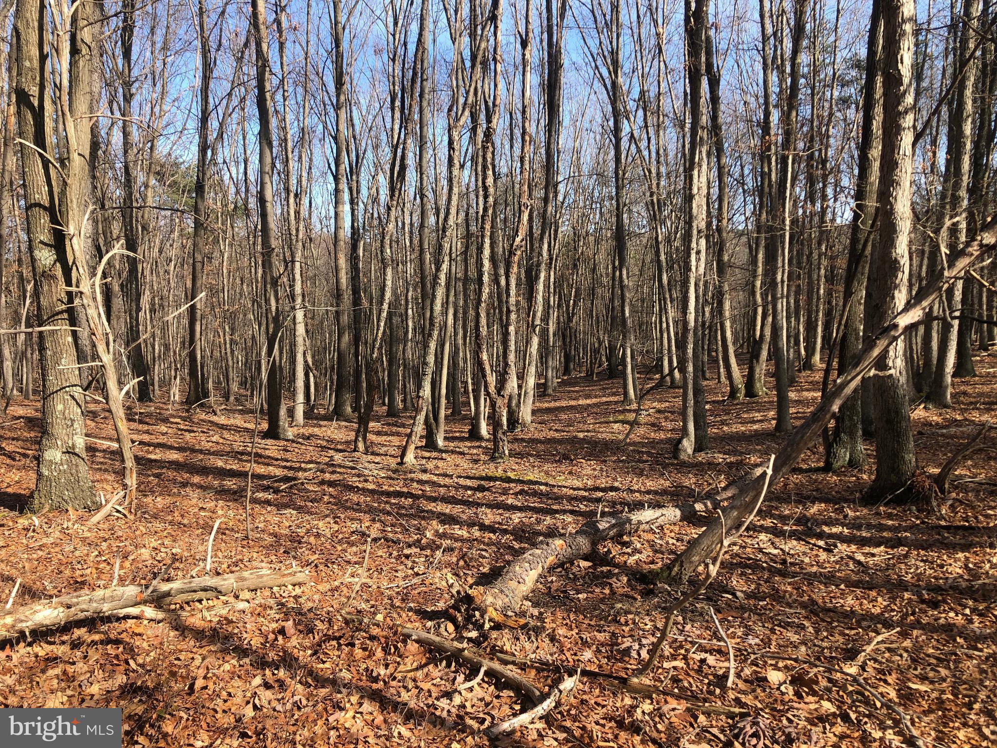 BLUFFS ON THE POTOMAC - Land