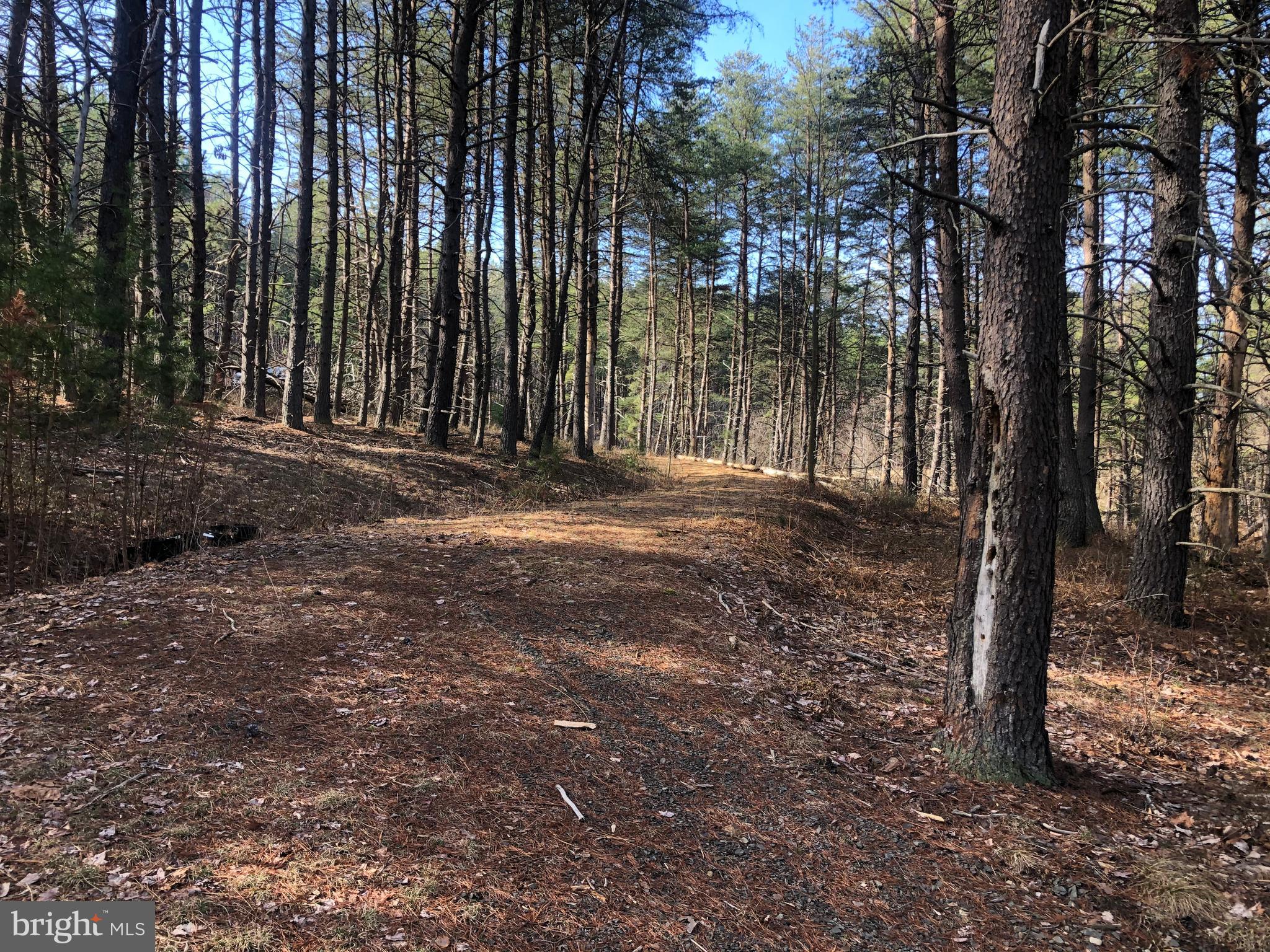 BLUFFS ON THE POTOMAC - Land
