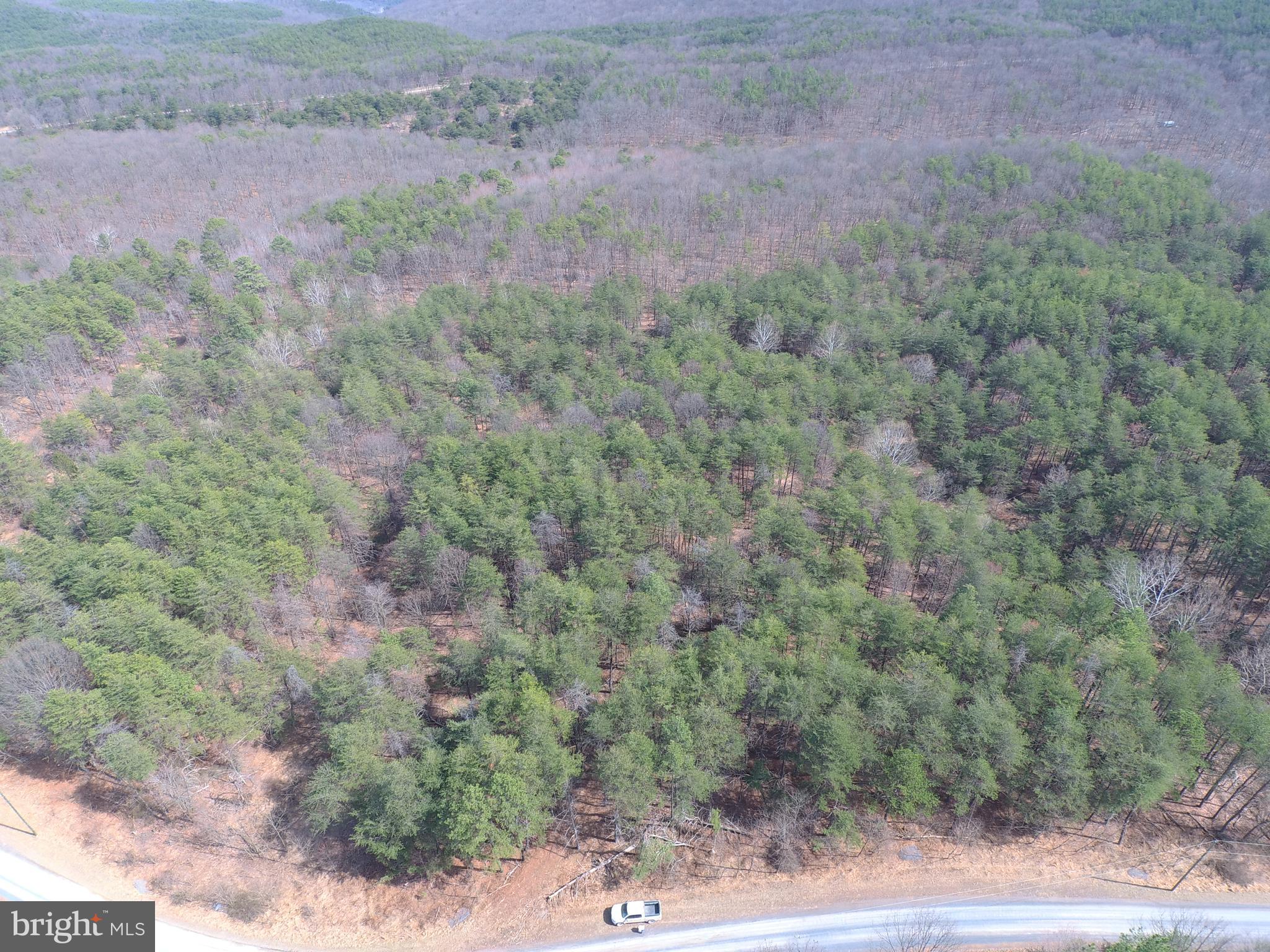 BLUFFS ON THE POTOMAC - Land