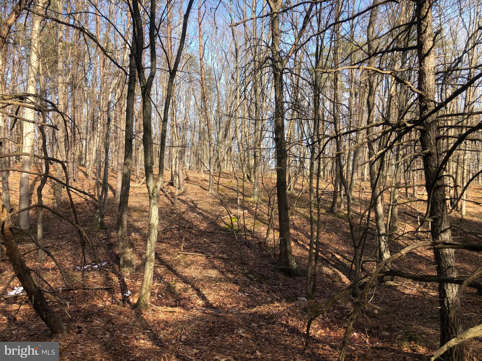 BLUFFS ON THE POTOMAC - Land