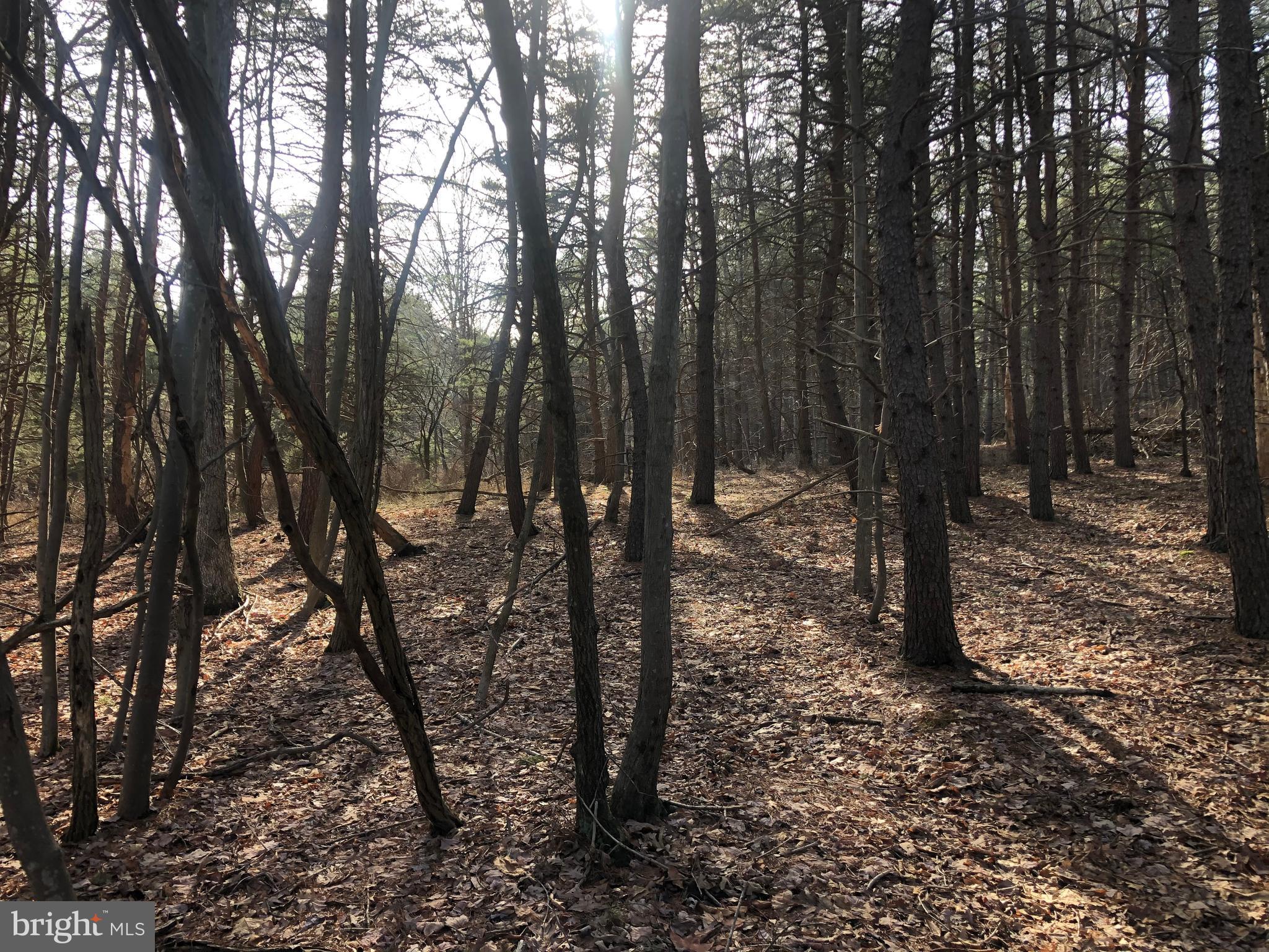 BLUFFS ON THE POTOMAC - Land