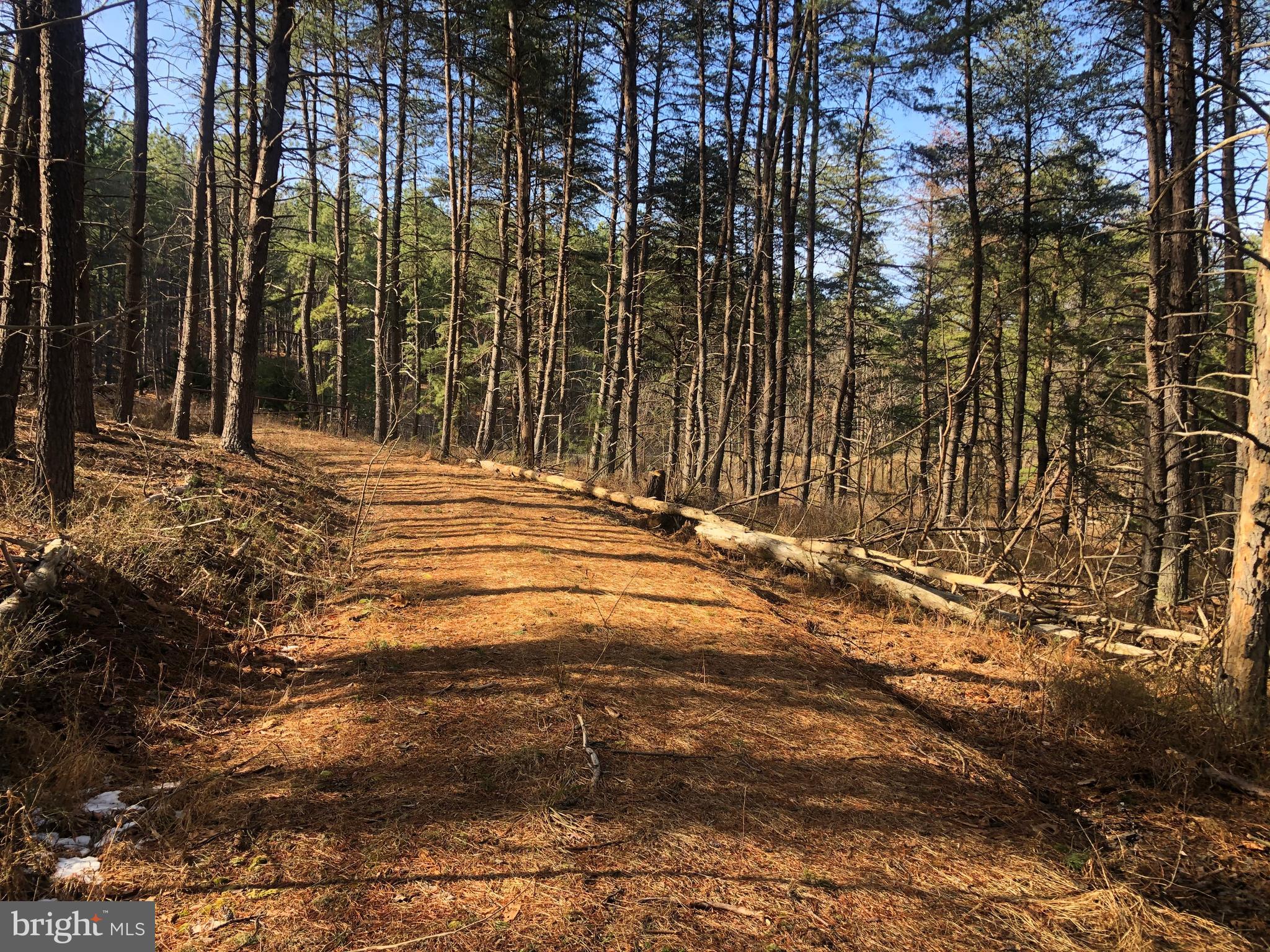 BLUFFS ON THE POTOMAC - Land