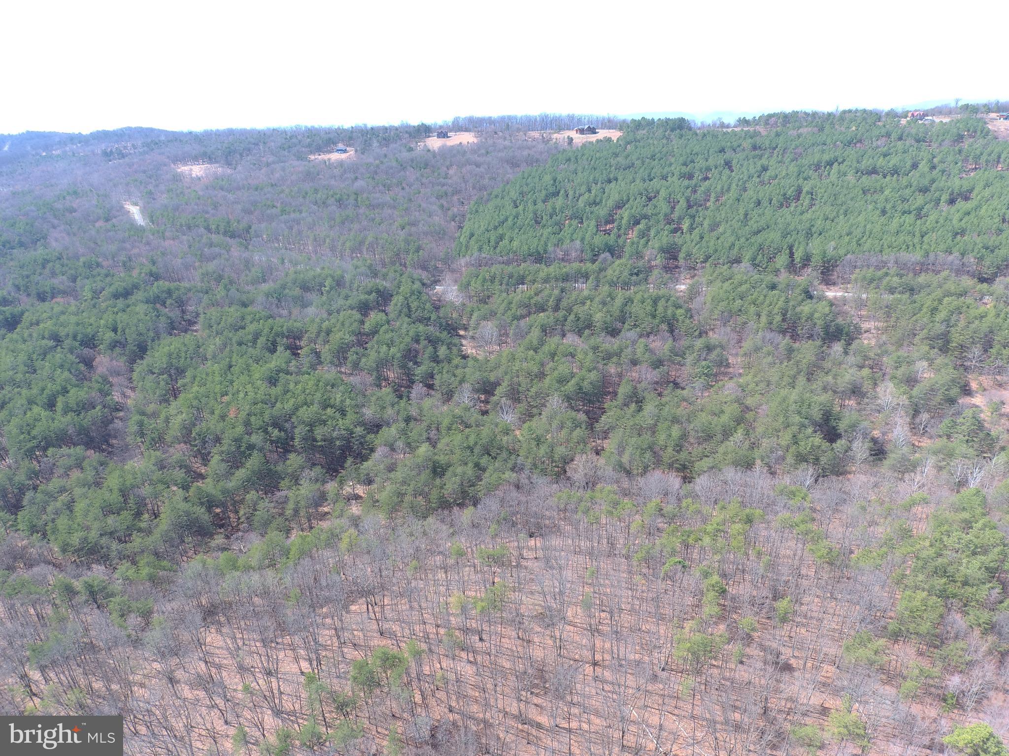 BLUFFS ON THE POTOMAC - Land