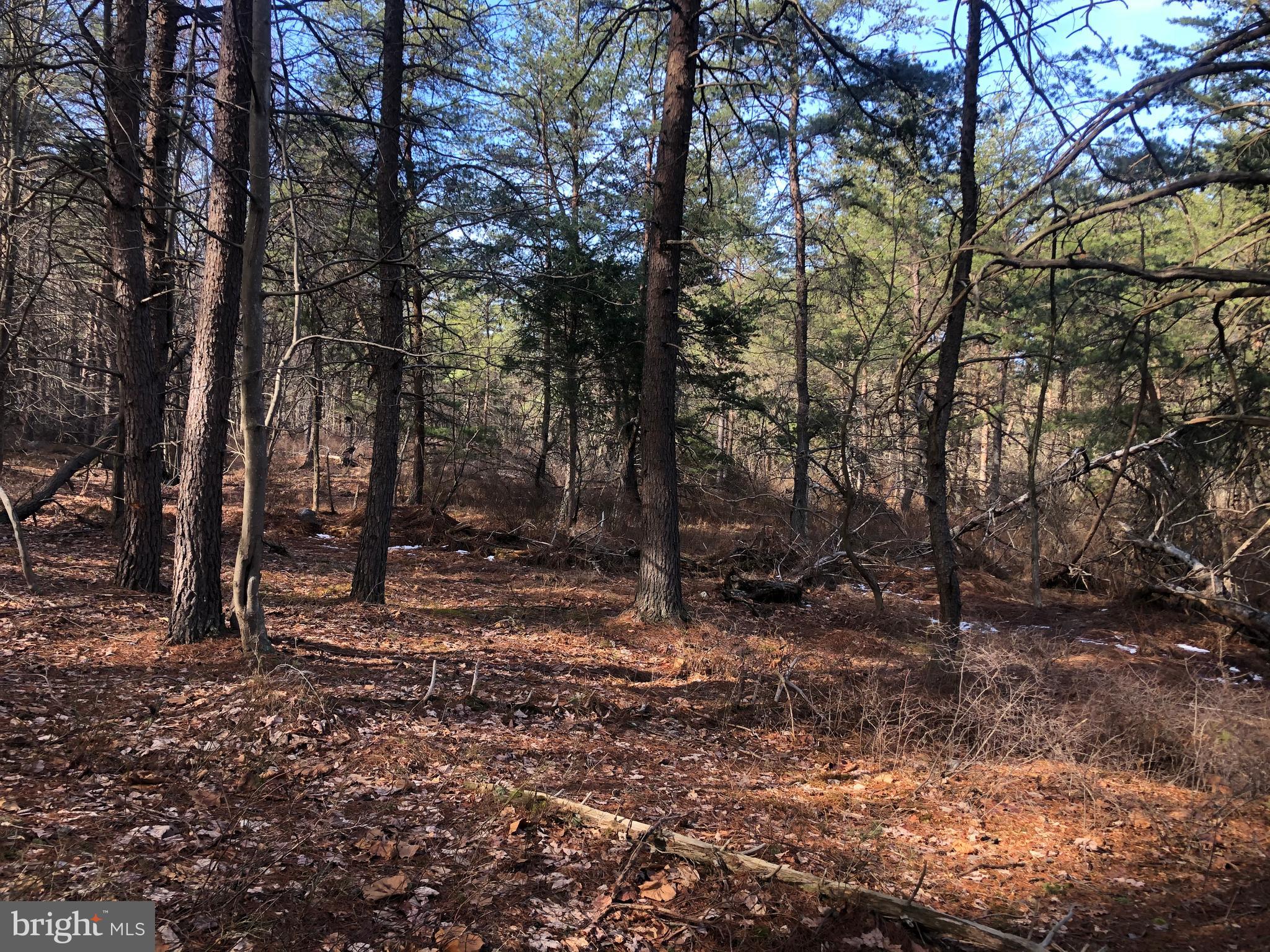 BLUFFS ON THE POTOMAC - Land