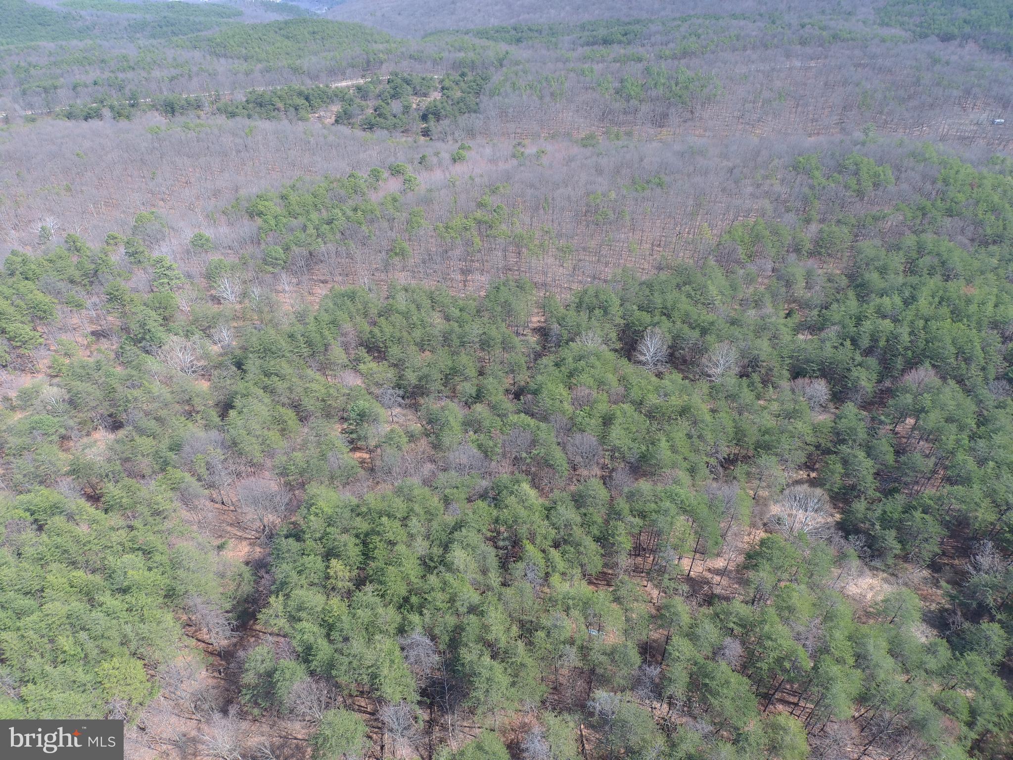 BLUFFS ON THE POTOMAC - Land