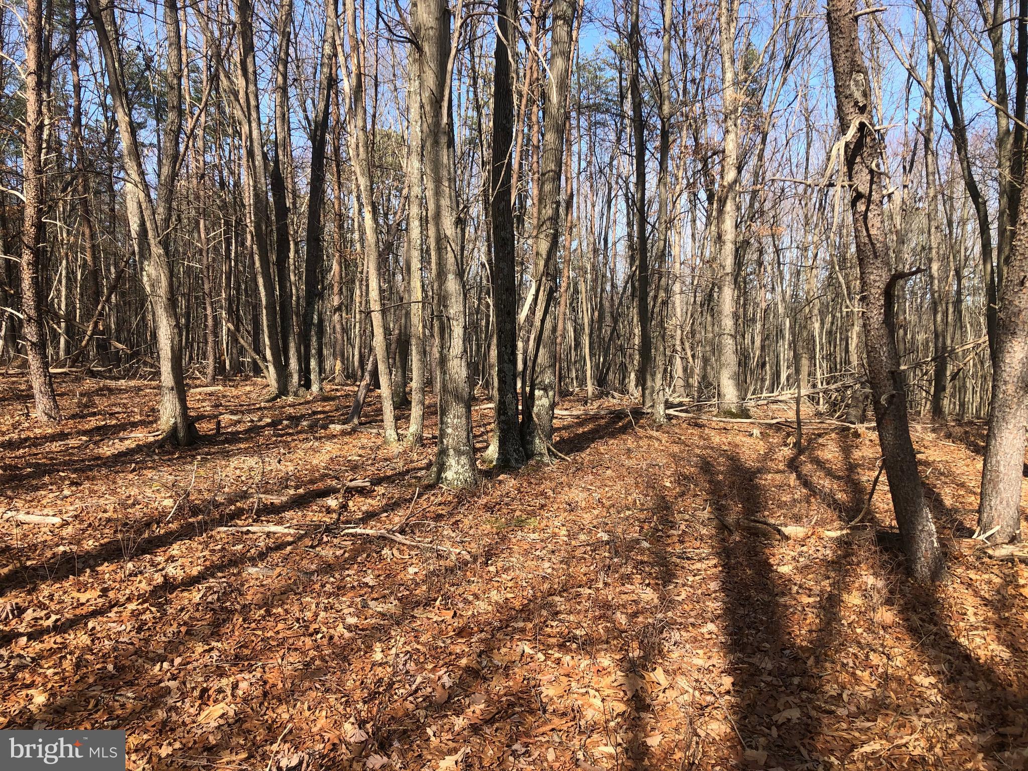 BLUFFS ON THE POTOMAC - Land