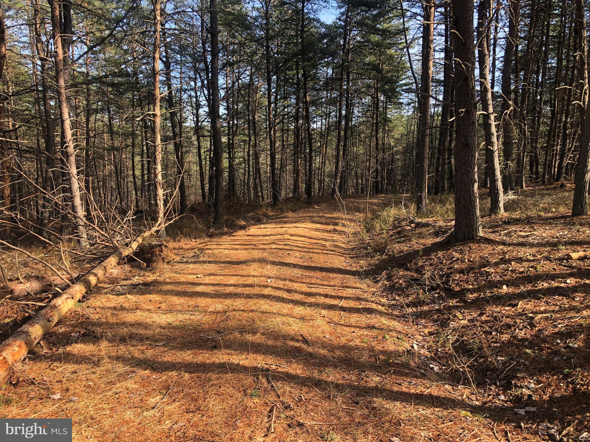 BLUFFS ON THE POTOMAC - Land