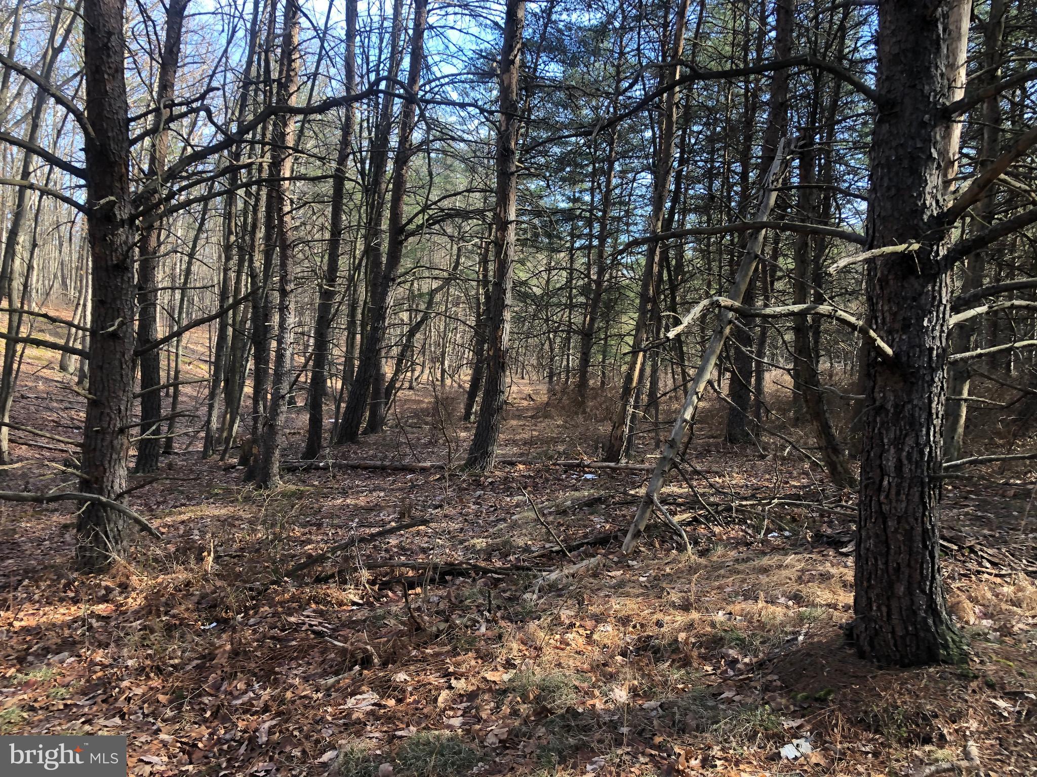 BLUFFS ON THE POTOMAC - Land