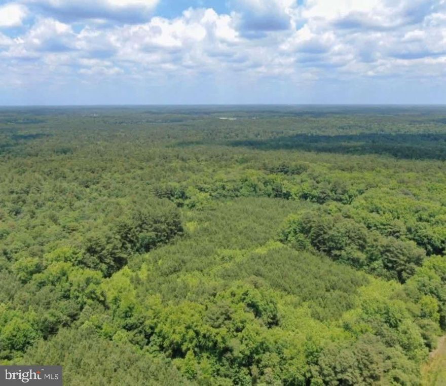 Once in while a small one pops up that makes you think BIG! This 15 acres located in southern Wicomico County is a great timber property for hunting and receation. Located off the beaten path through a deeded ROW, and surrounded by large blocks of woods, you will find abundant deer and turkey on this one. The property is surrounded by leased land with like minded individuals all interested in managing the deer herd. This land is mostly young pine with several shooting lanes cleared and overlooked by a nice Banks Blind that conveys with the property. Good history of mature deer running aroud, great flocks of turkey, and at times, you may find a BONUS sika deer around. One of the neighbors shot the sika in the attached pictures this past season. If you don't have a big budget, this one is definitely worth taking a look at. Get in there, make it your own, and expand on what the current owner has already done. Here's your chance to own small where big results roam!