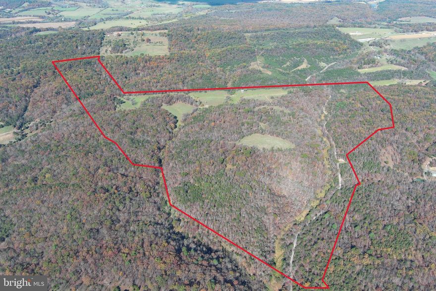 THE "LUDWICK FARM" CIRCA 1908.....238 UNRESTRICTED ACRES OF 100% USABLE LAND....COMPRISED OF GENTLY ROLLING HILLS, SHALLOW HOLLOWS AND APPROXIMATELY 30 ACRES OF PASTURE. INCREDIBLE VIEWS FROM MULTIPLE BUILD SITES, FRONTAGE ON BOTH SIDES OF A QUIET COUNTY ROAD AND ELECTRIC ON SITE. SO PRIVATE, SO QUIET, YET CONVENIENT TO EVERYTHING.....ONLY 15 MINUTES FROM MOOREFIELD & ROMNEY, 20 MINUTES FROM KEYSER, EASY BEAUTIFUL 2-2.5 HOUR DRIVE FROM NORTHERN VIRGINIA. FANTASTIC INTERNAL ROAD NETWORK, YOU CAN DRIVE AROUND IT ALL, THE TIMBER HASN'T BEEN TOUCHED.....GORGEOUS WHITE OAK FOREST....WET WEATHER STREAM & SMALL POND. THIS PROPERTY CHECKS EVERY BOX.....THERE'S LITERALLY NO APPLICATION THAT WOULDN'T SUIT....HOBBY FARM, HUNTING/RECREATIONAL, DEVELOPMENT POTENTIAL, CAMPGROUND, AIRBNB VILLAGE OR MAKE IT YOUR FAMILY'S LEGACY PROPERTY....THIS FARM HAS BEEN IN THE SAME BLOODLINE SINCE 1908, IT COULD BE PART OF YOUR FAMILY'S HISTORY FOR THE NEXT 100+ YEARS. THE OPPORTUNITY TO BUY A FARM OF THIS CALIBER & QUALITY IS RARE, YOU COULD SEARCH FOR YEARS AND NOT FIND ANYTHING COMPARABLE. IT'S TIME TO PUT DOWN ROOTS AND START YOUR OWN LEGACY IN ALMOST HEAVEN....OUR STATE MOTTO SAYS IT ALL..."MONTANI SEMPER LIBERI" TRANSLATION...."MOUNTAINEERS ARE ALWAYS FREE"