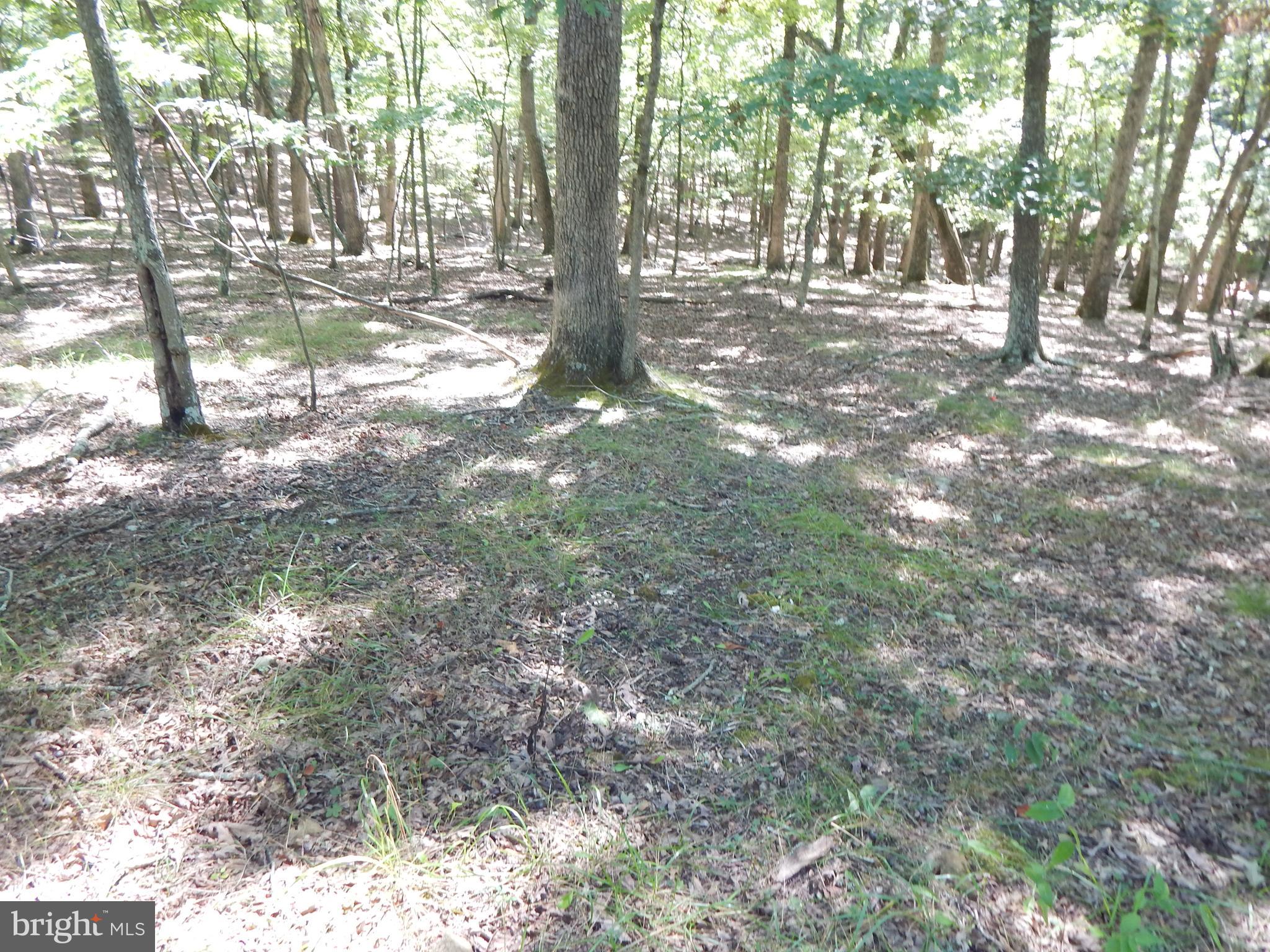 A wooded 2.57-acre lot in Foxcrest Manor II located in a Cul-de-sac. Hook up to public sewer. A well needs to be installed. Build your dream home. Paved roads in subdivision. The lot entrance is 17 'x 300' that connects to the lot and is part of the acreage.