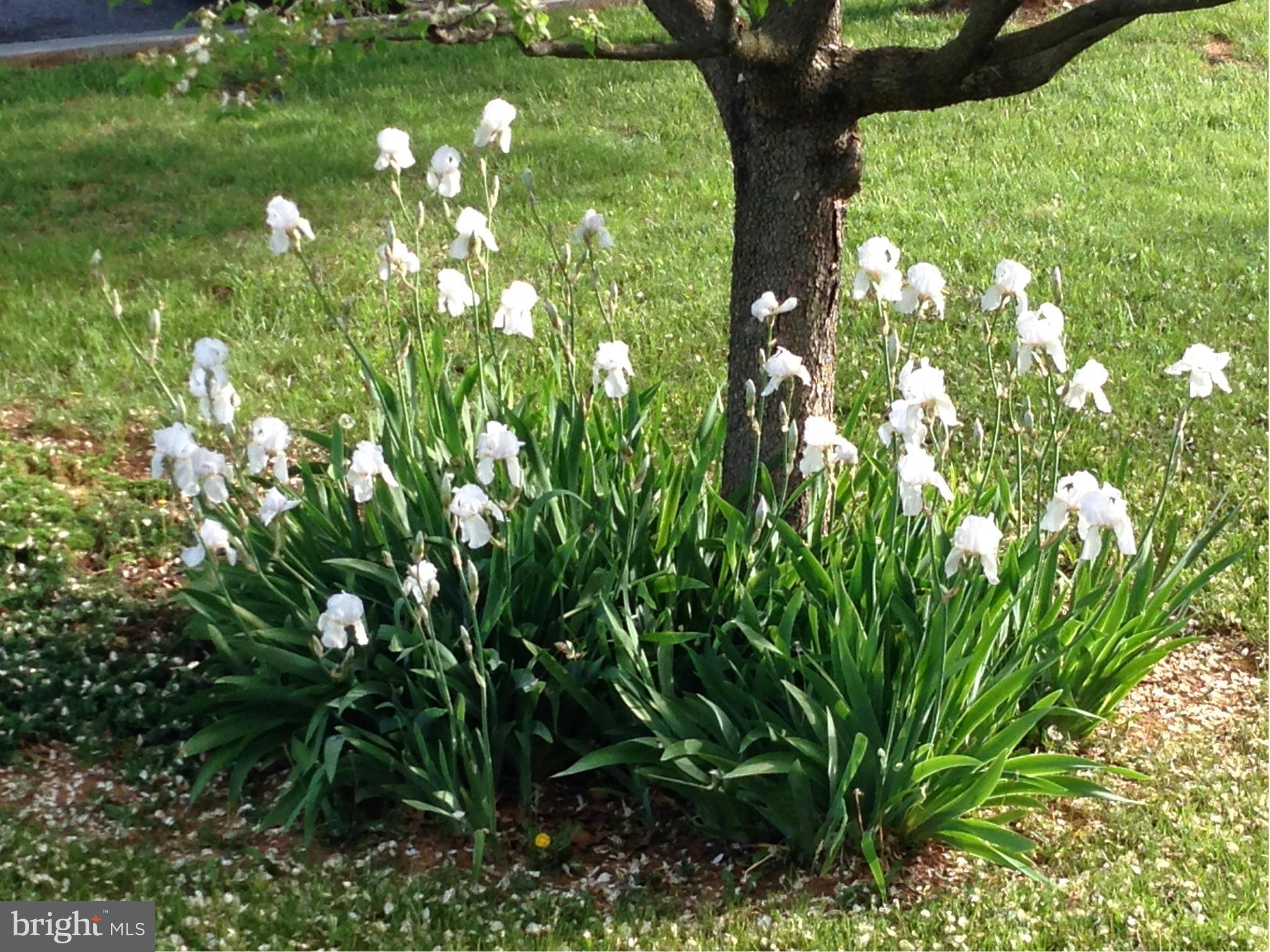 VAUGHT ESTATES - Residential