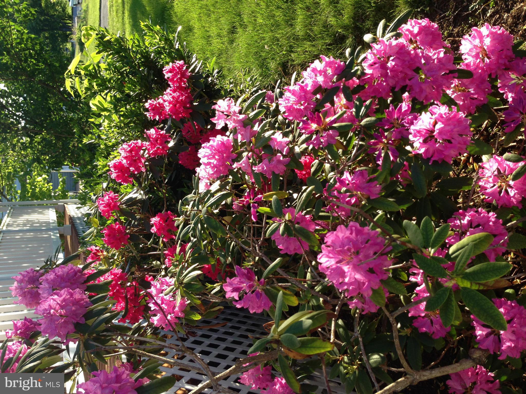 VAUGHT ESTATES - Residential