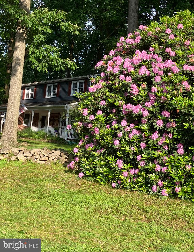 PHEASANT RIDGE - Residential