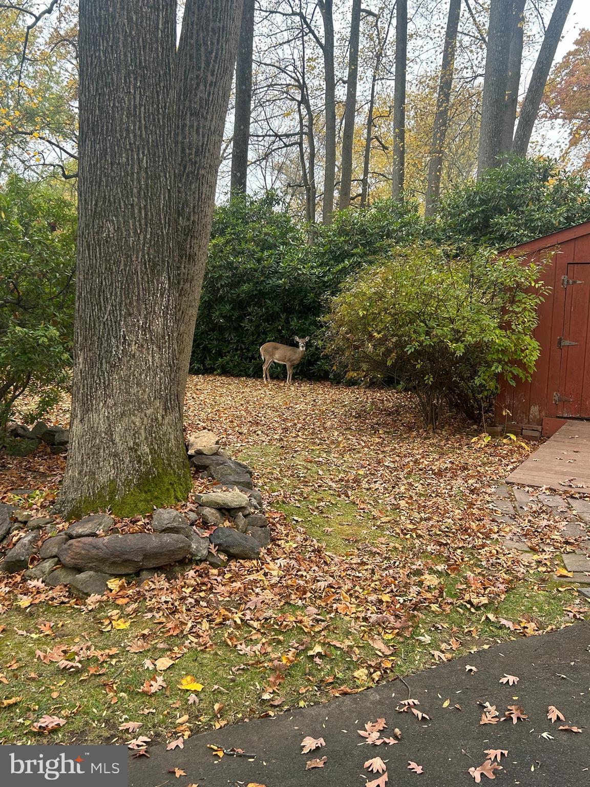 PHEASANT RIDGE - Residential
