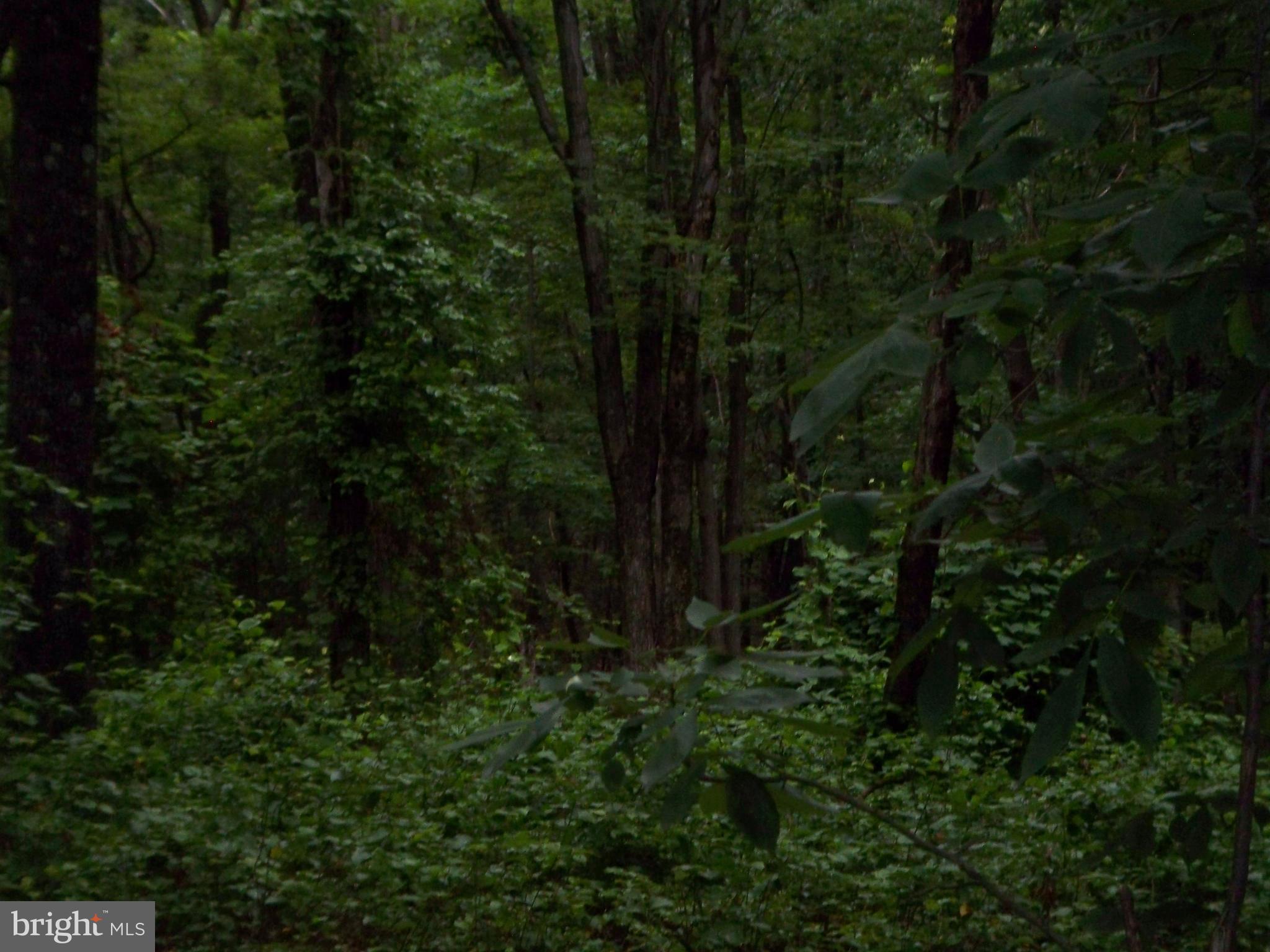 ALMOST HEAVEN - Land