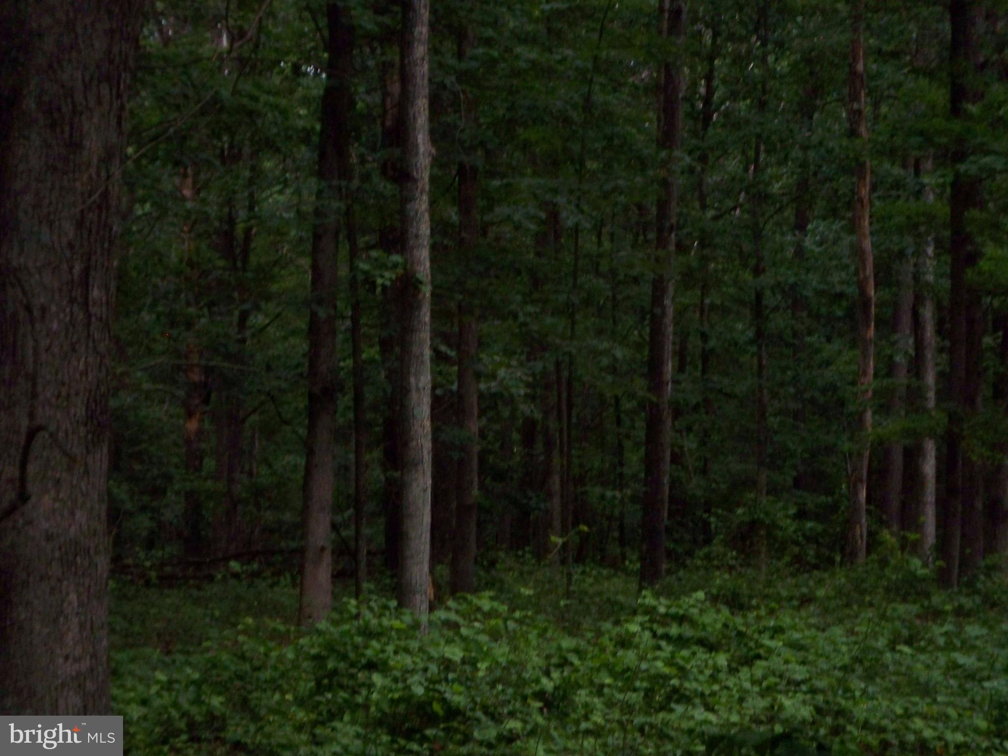 ALMOST HEAVEN - Land