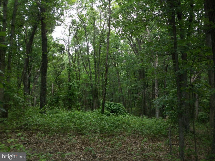 Beautiful, private, wooded lot located in the Southern end of Morgan County. Corners are marked. Close to Cacapon State Park and Sleepy Creek Wildlife Management Area for all your outdoor activities. Located close to the Virginia line. A must see when looking for a nice land lot in Morgan County.