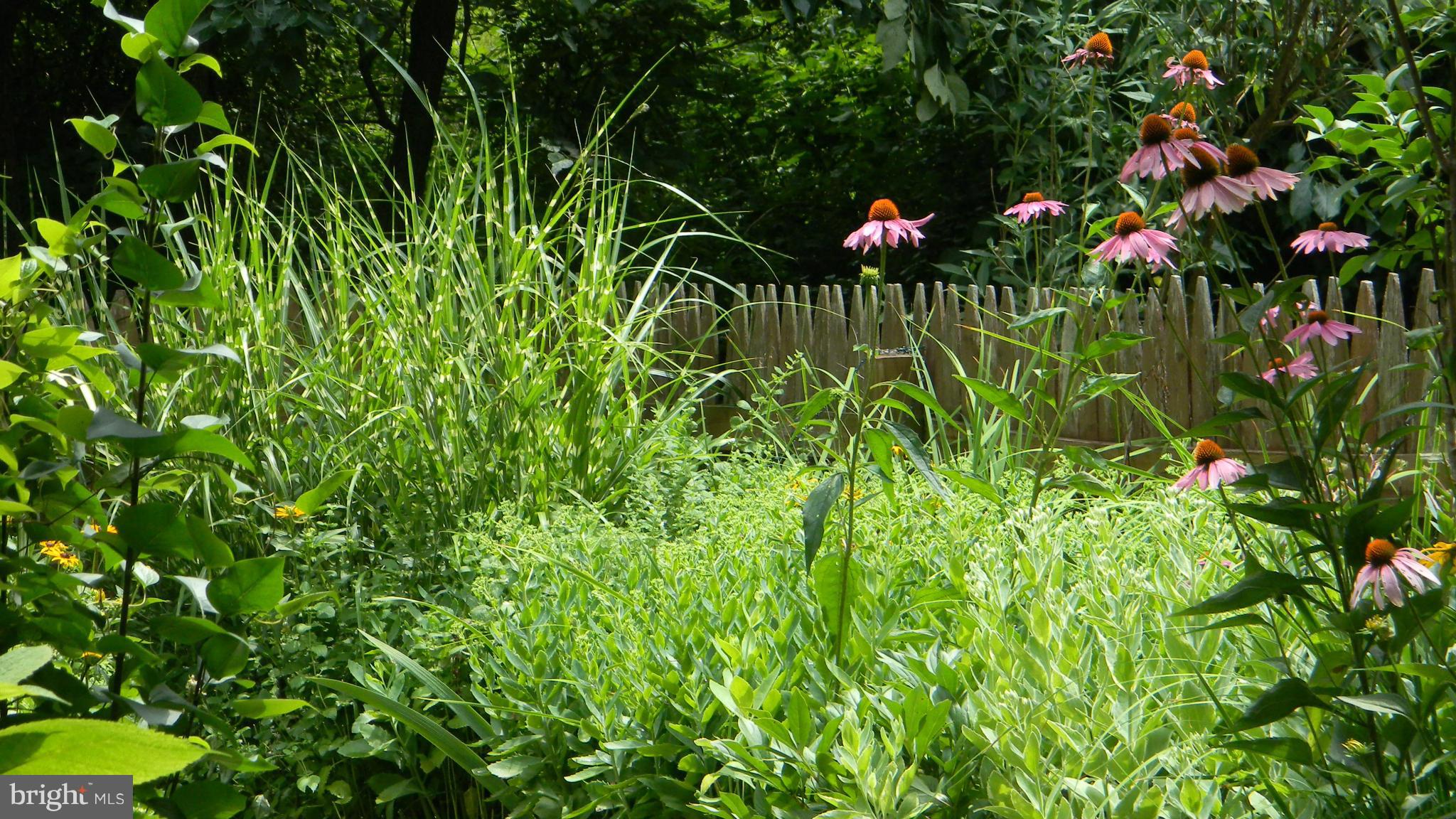 PERSIMMON CREEK - Residential