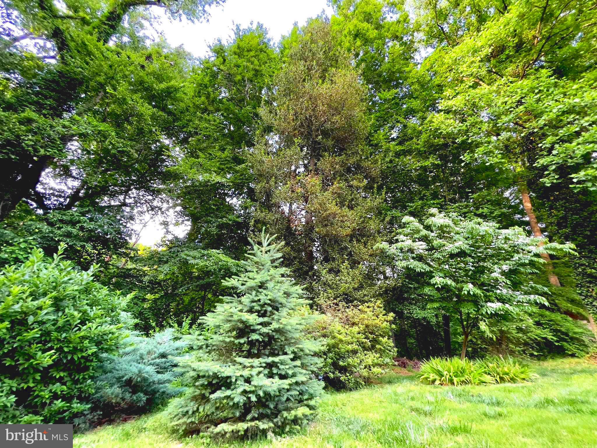 FORT WASHINGTON - Residential Lease