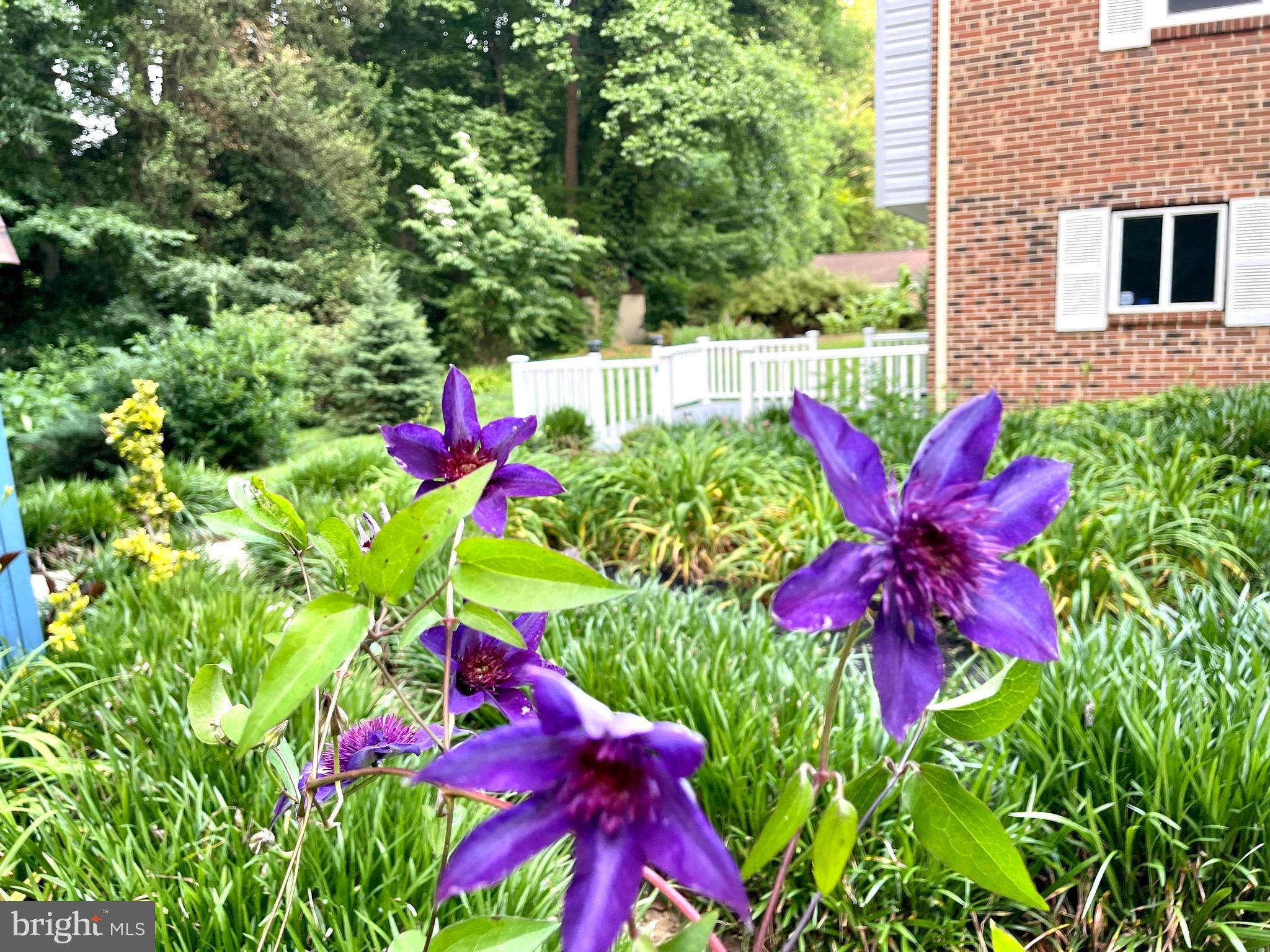 FORT WASHINGTON - Residential Lease