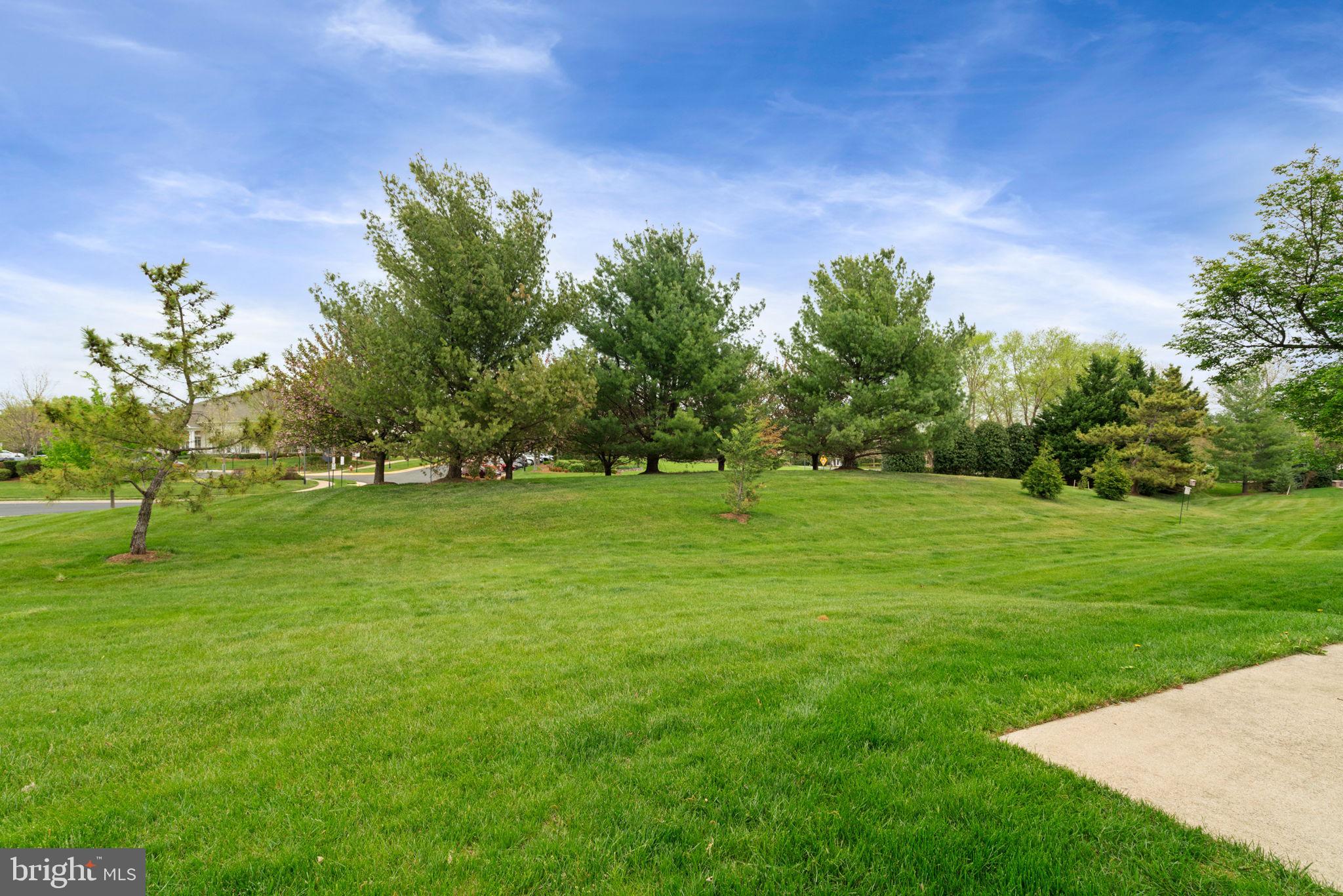 POTOMAC GREEN - Residential